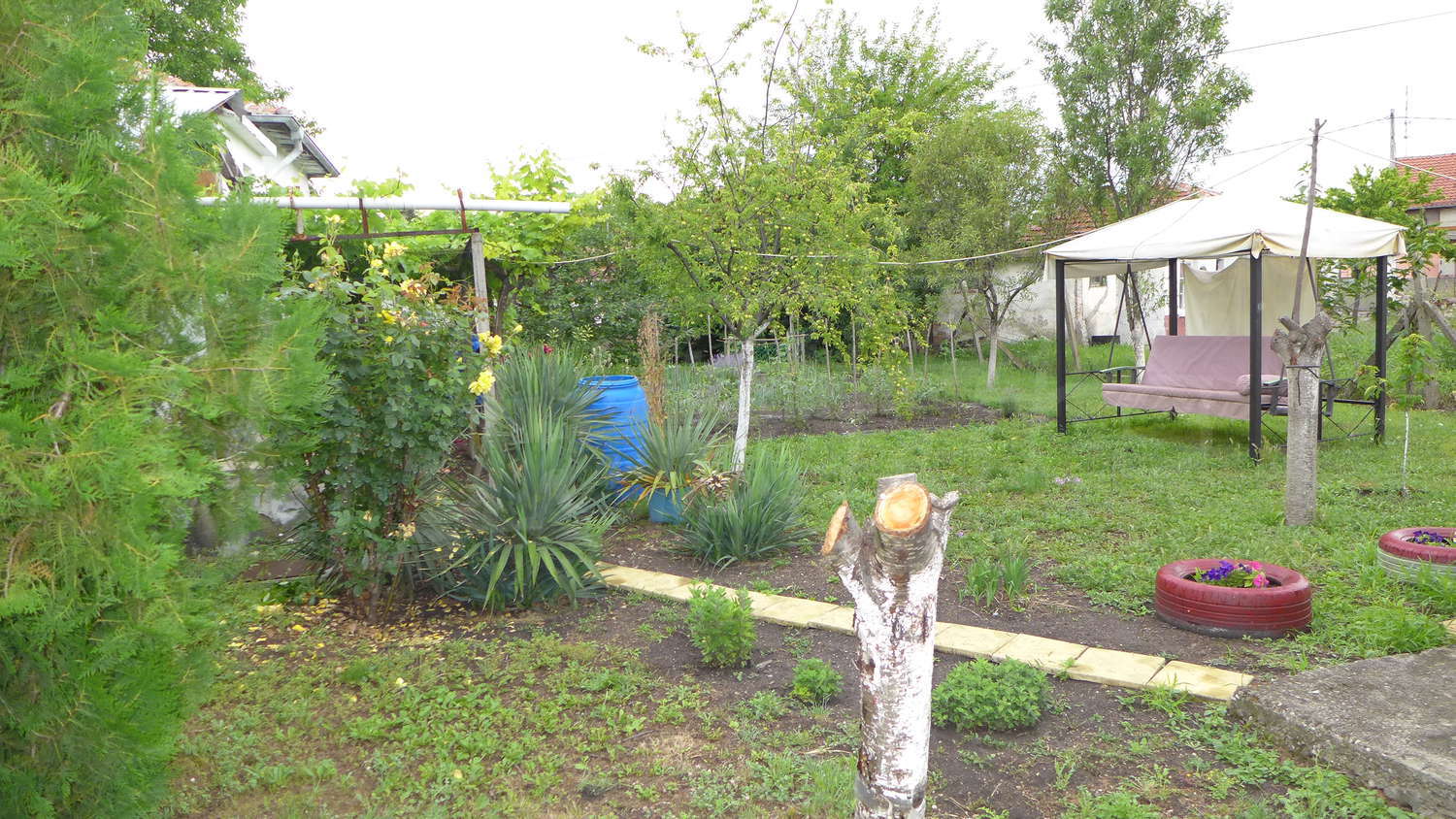 Gallery Picture 53