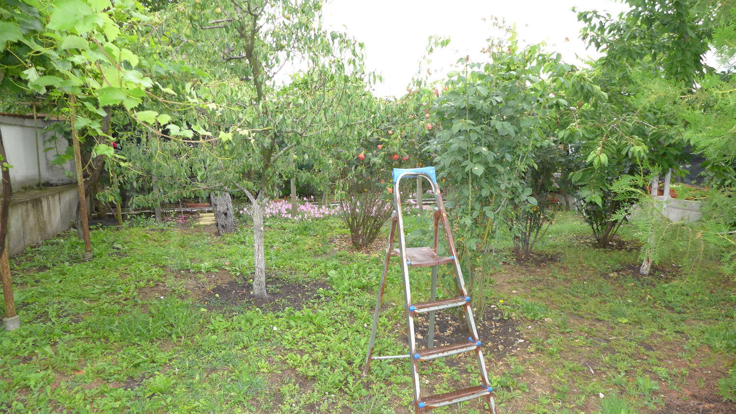 Gallery Picture 54