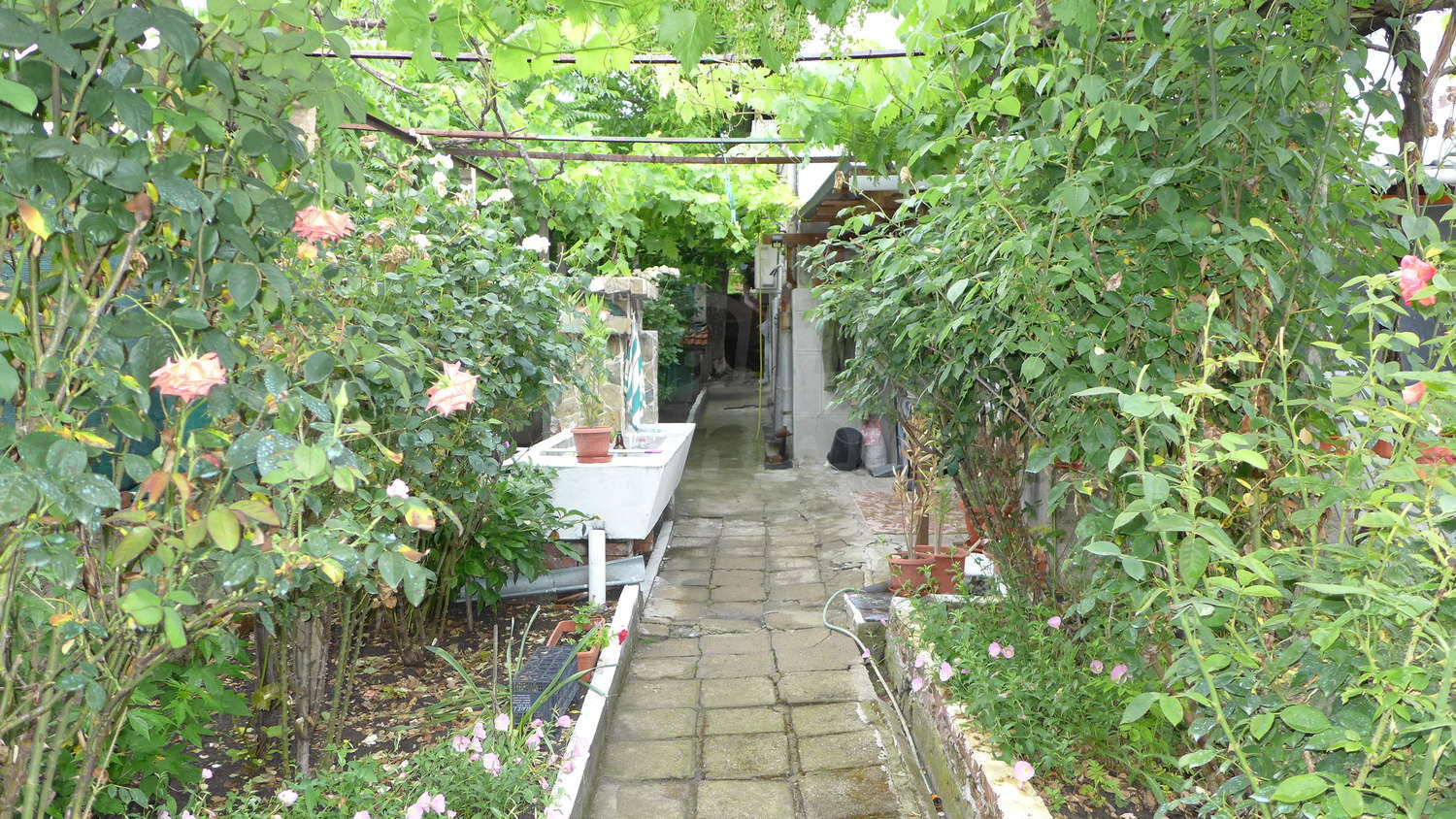 Gallery Picture 58