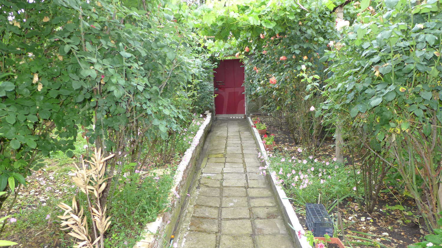 Gallery Picture 60