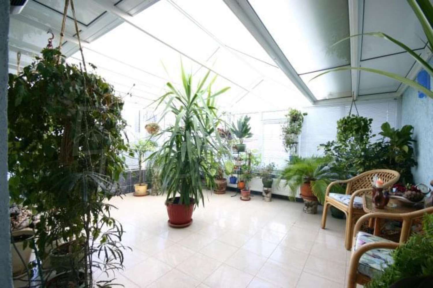 Gallery Picture 36