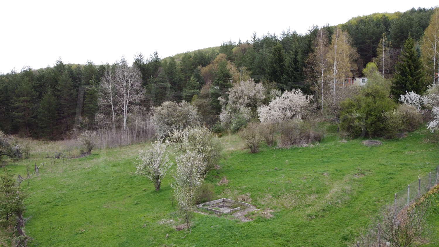 Gallery Picture 15