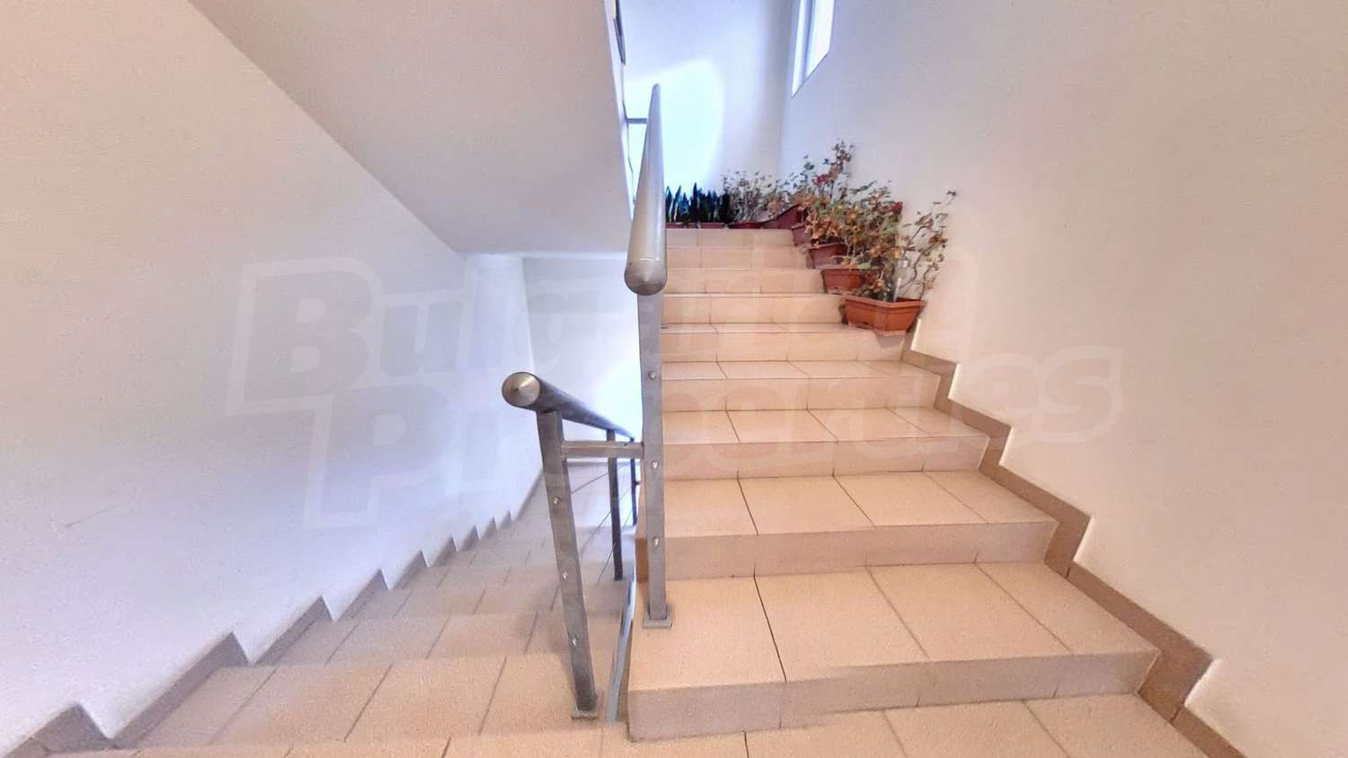 Gallery Picture 11