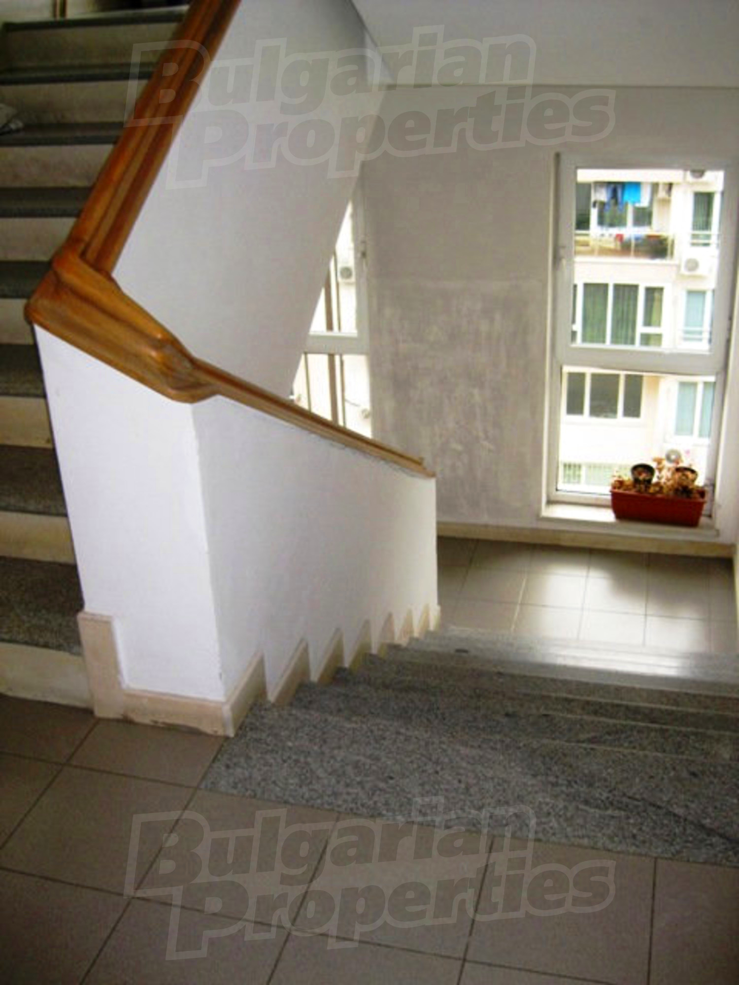 Gallery Picture 23