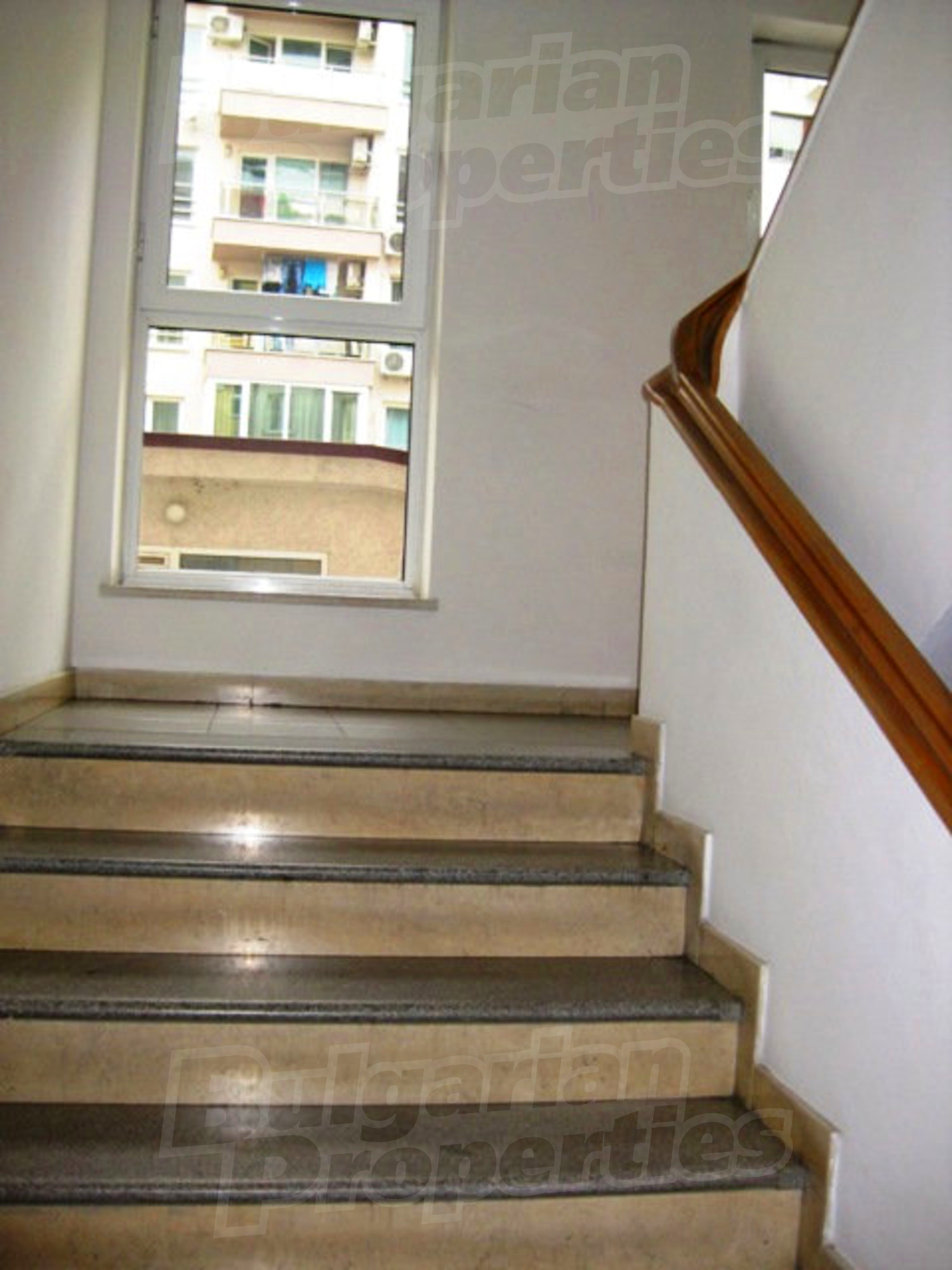 Gallery Picture 24