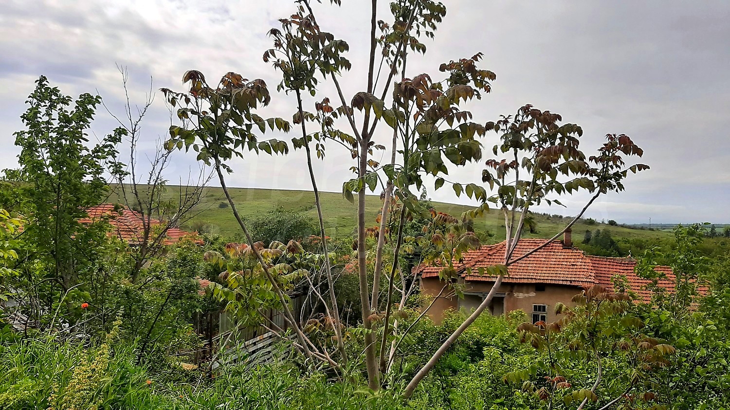 House for sale near Pleven, Bulgaria. Twostorey house for major