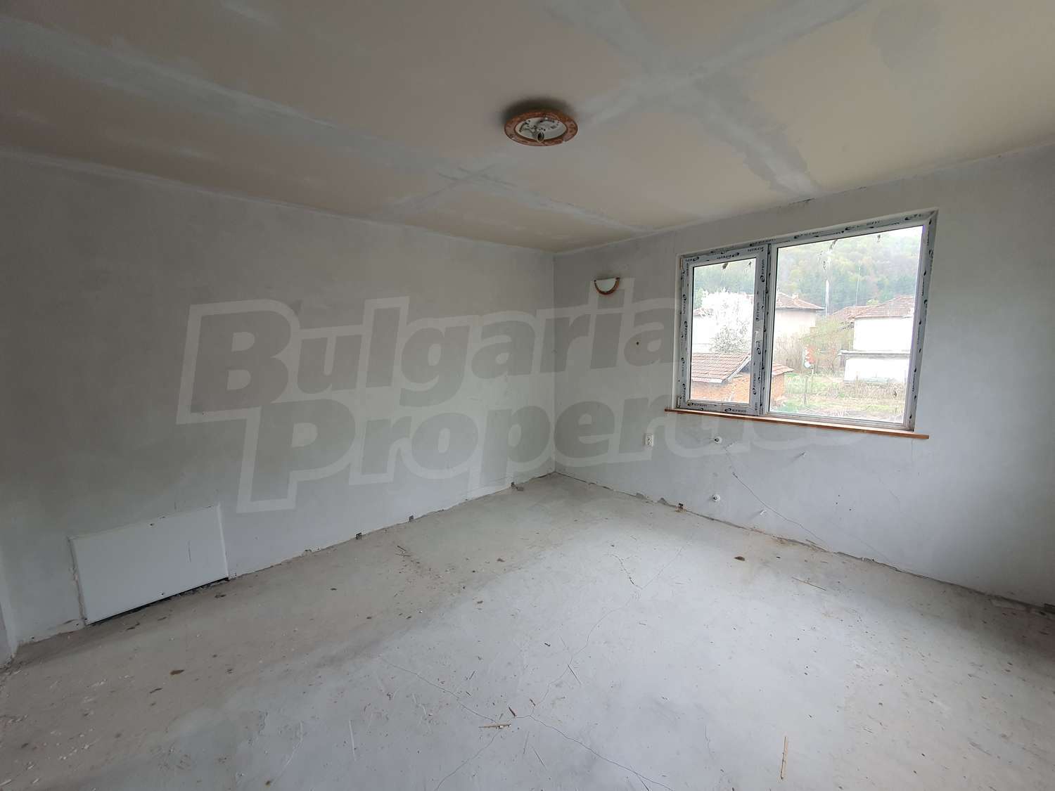 Gallery Picture 12