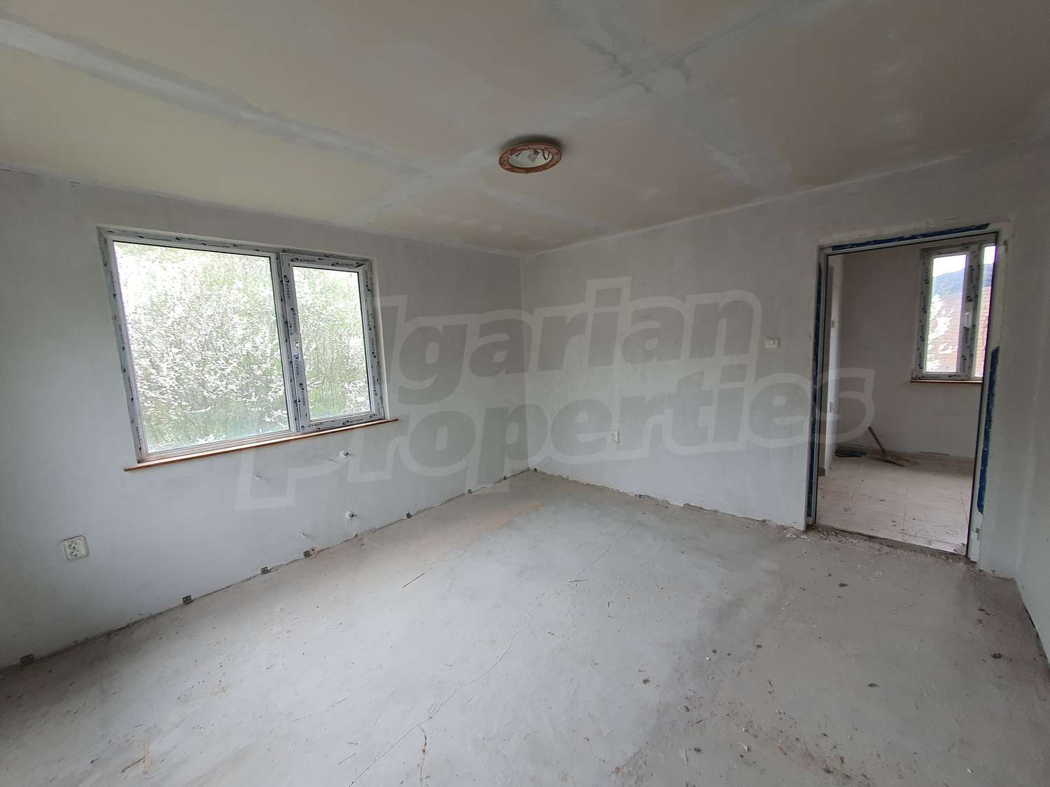 Gallery Picture 14