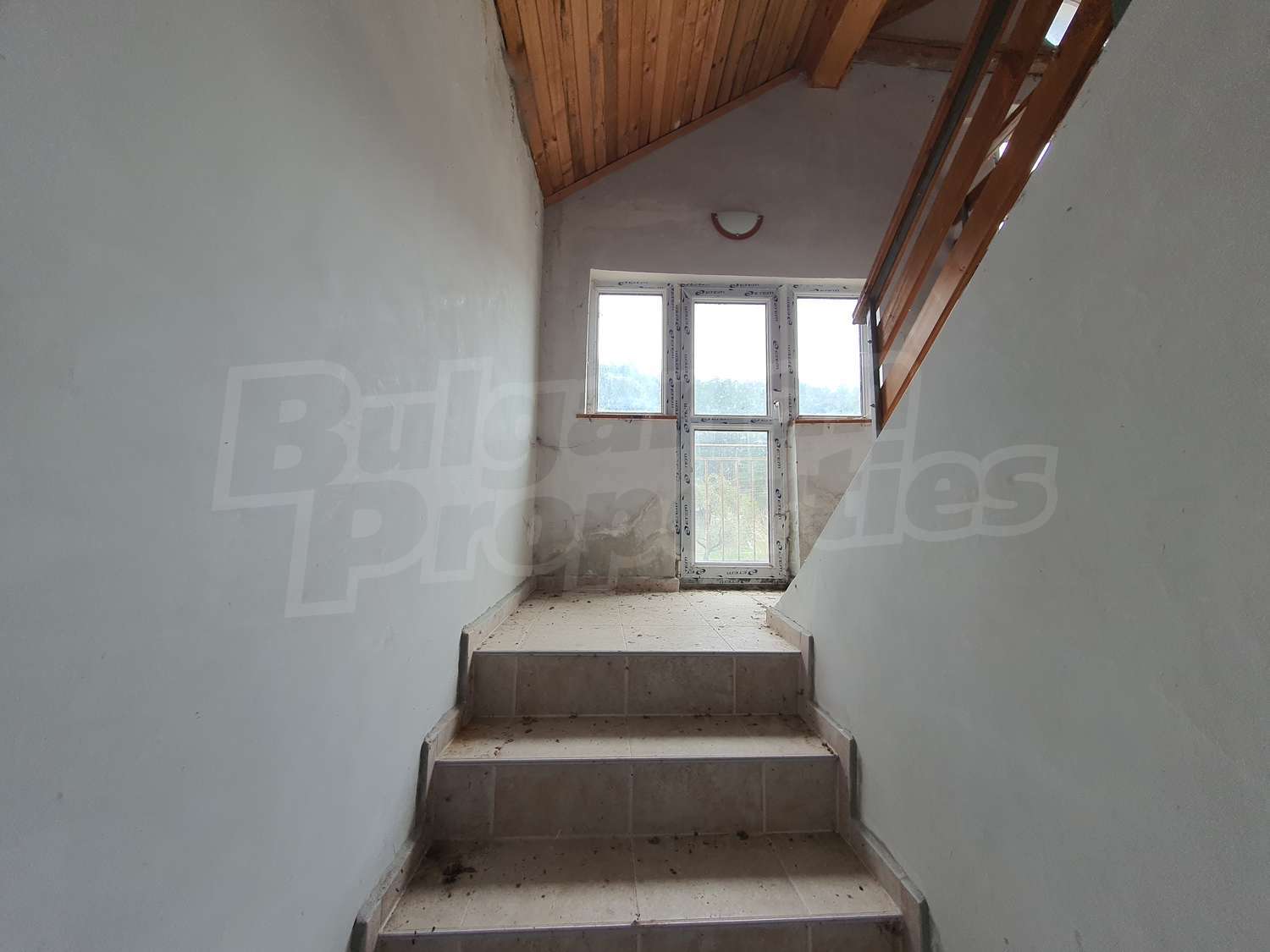 Gallery Picture 16