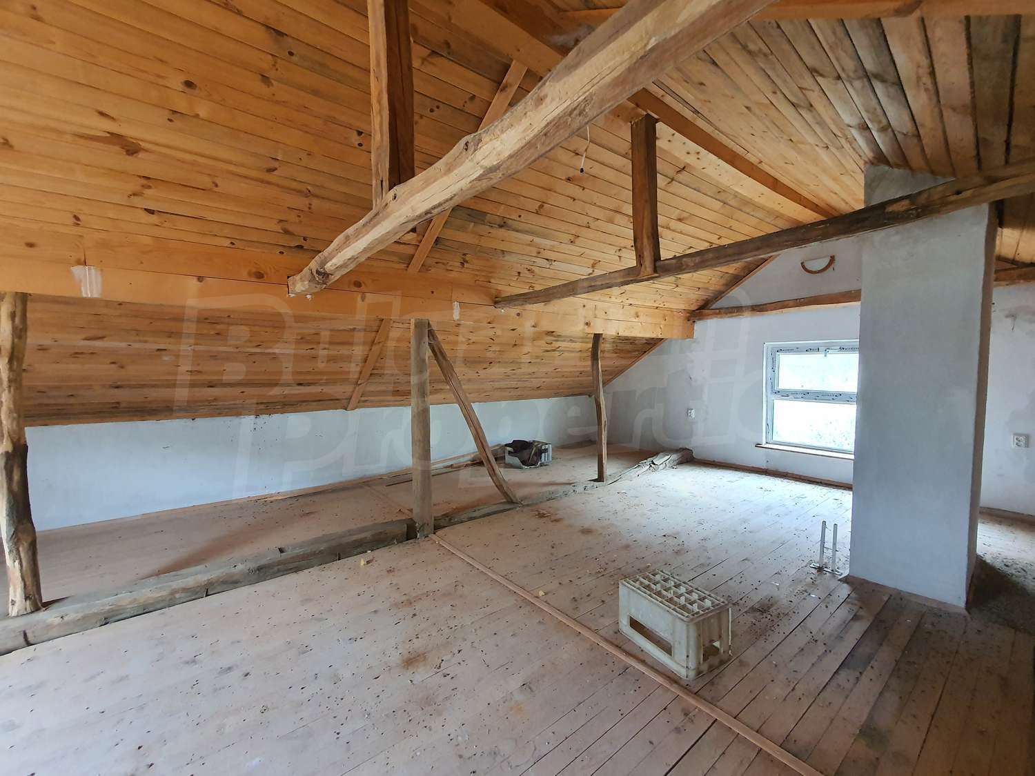 Gallery Picture 18