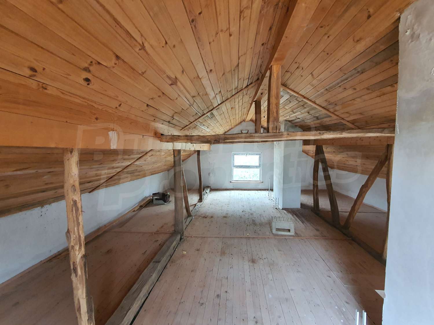 Gallery Picture 19