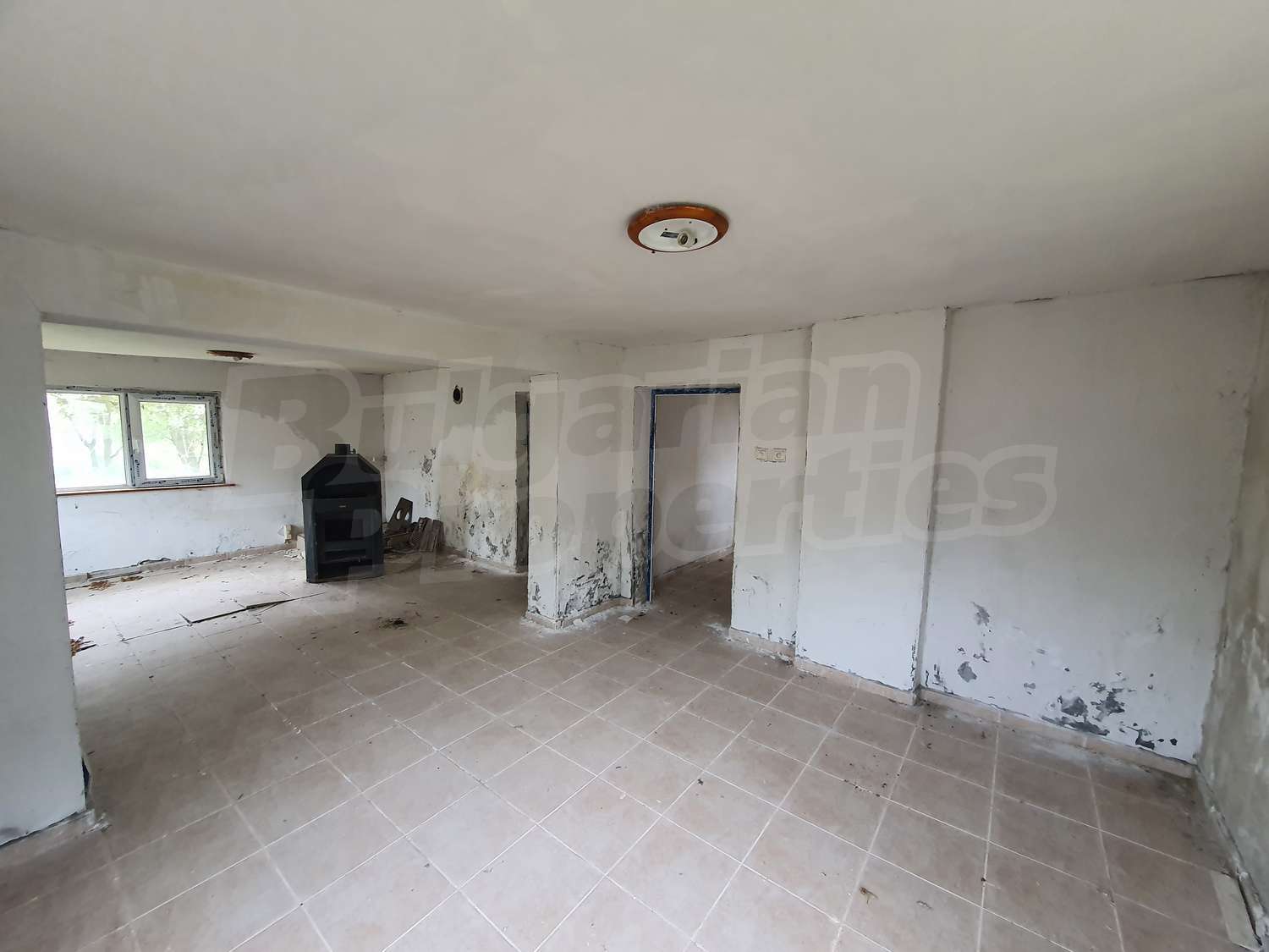 Gallery Picture 32