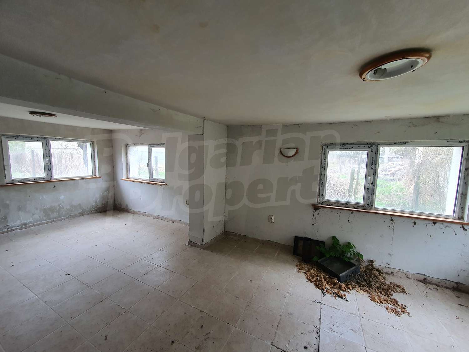 Gallery Picture 34