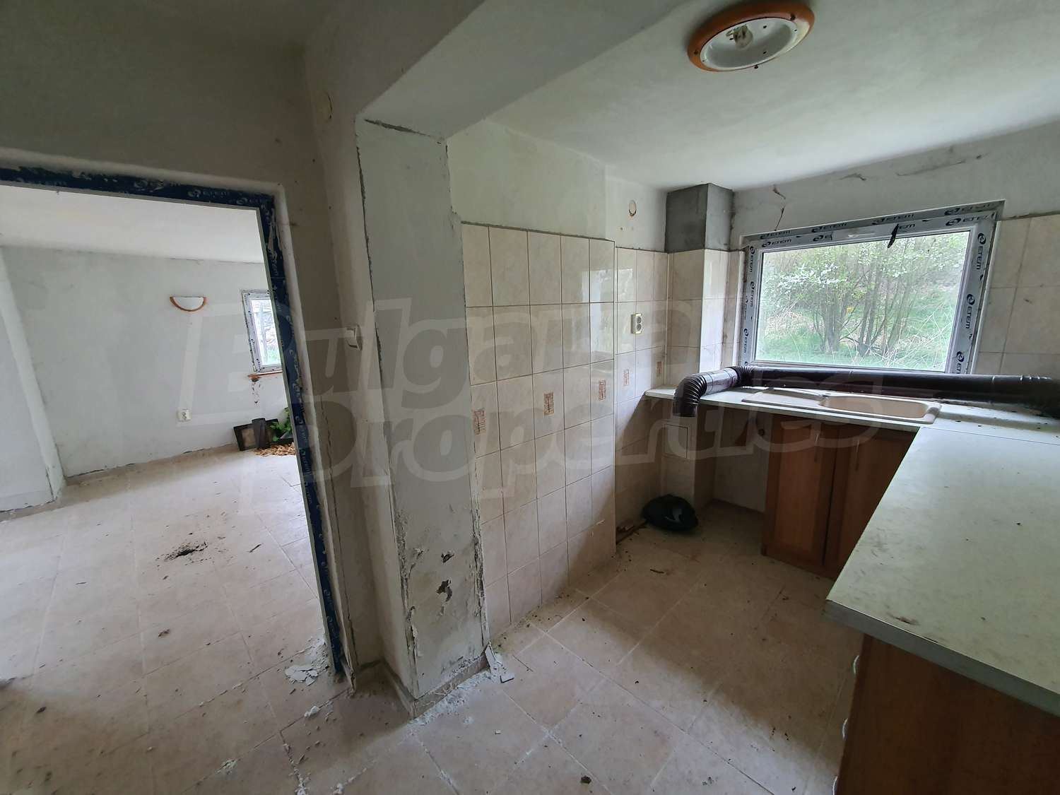 Gallery Picture 36