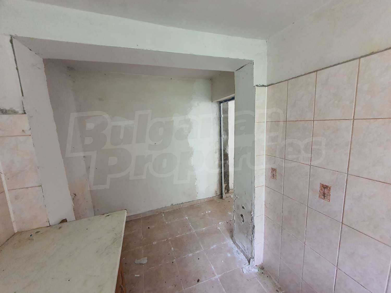 Gallery Picture 37