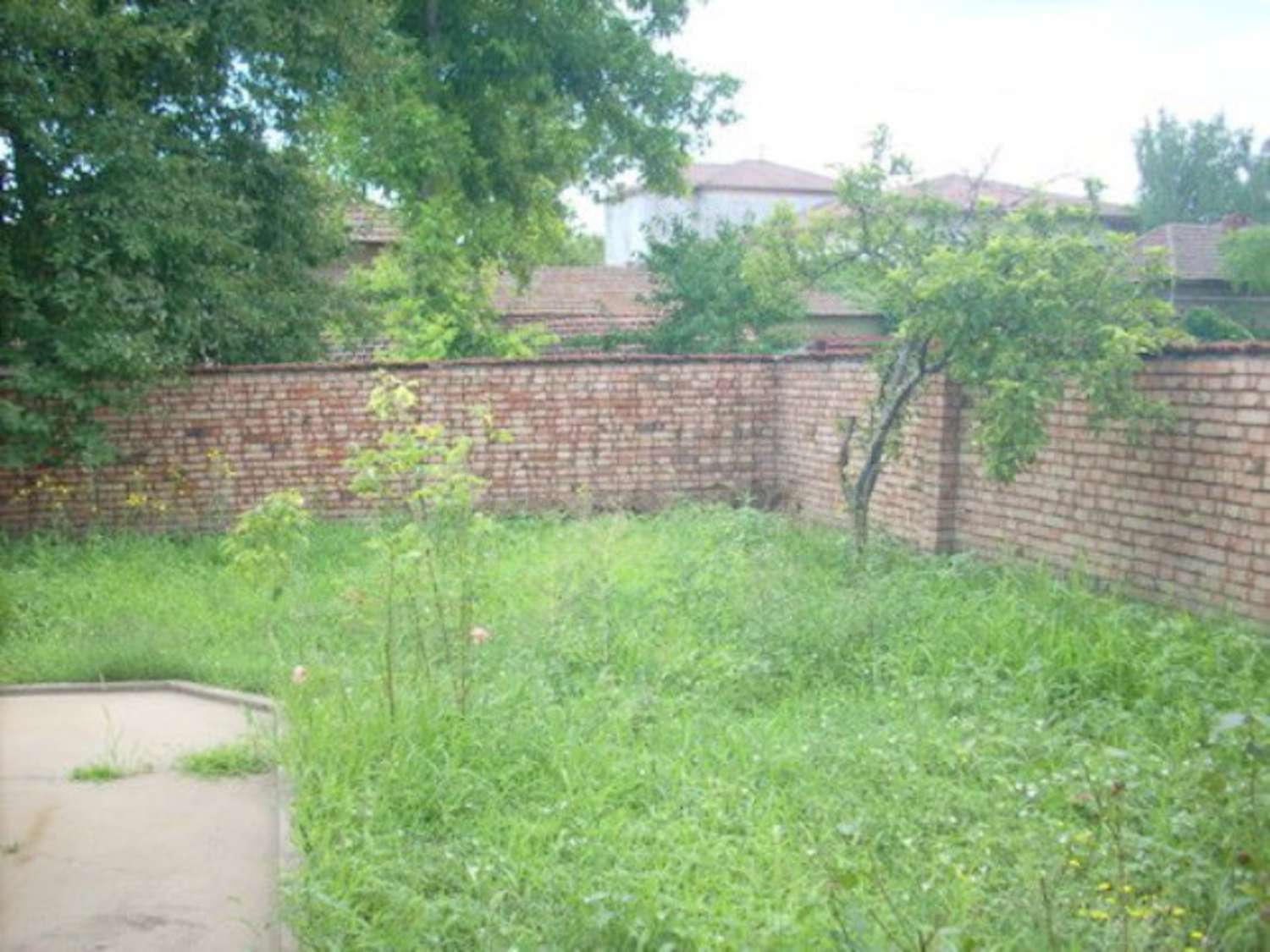 Gallery Picture 7