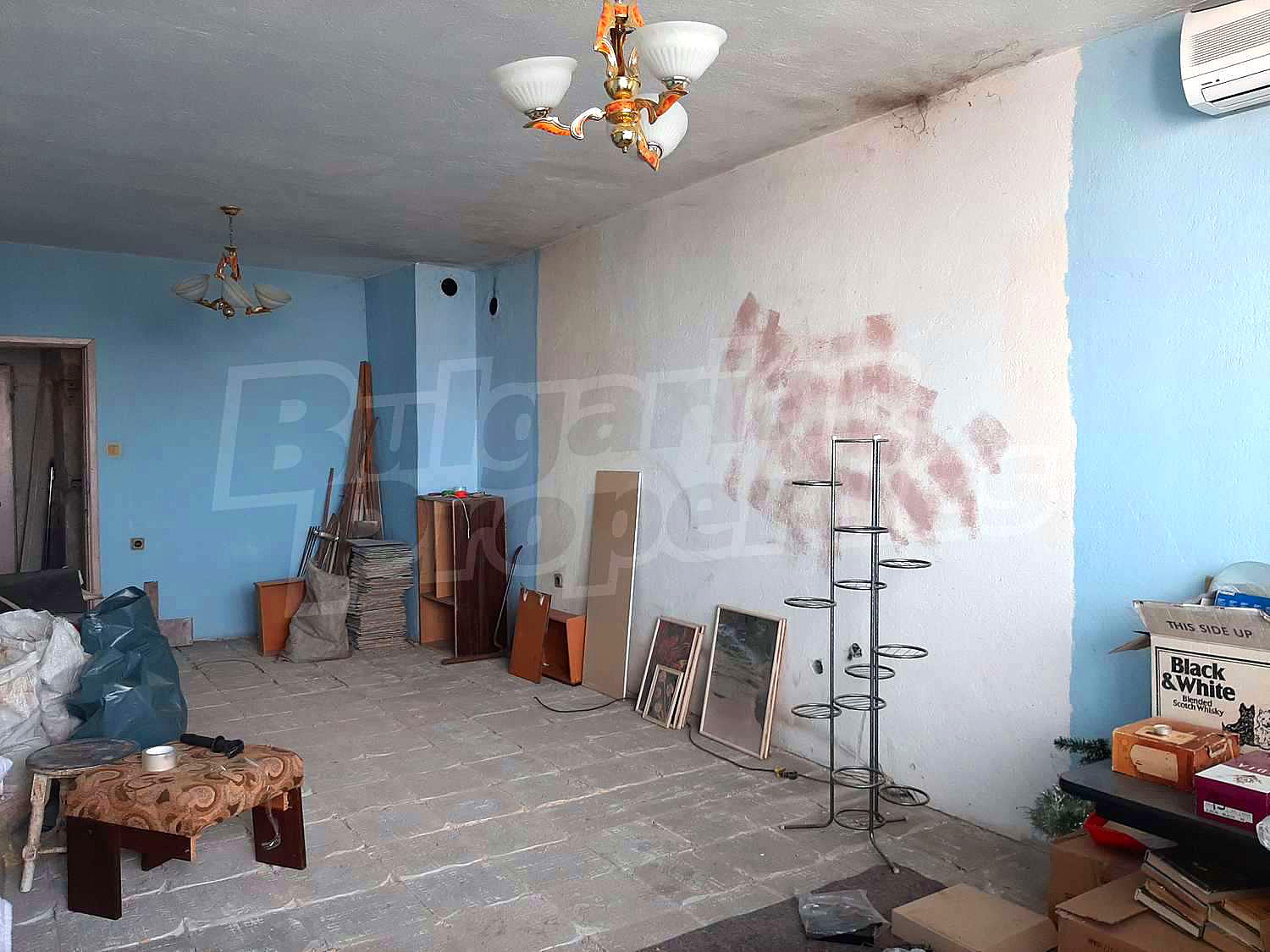 Gallery Picture 7