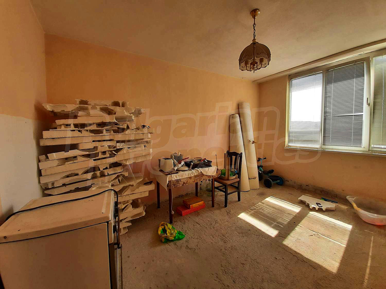 Gallery Picture 11
