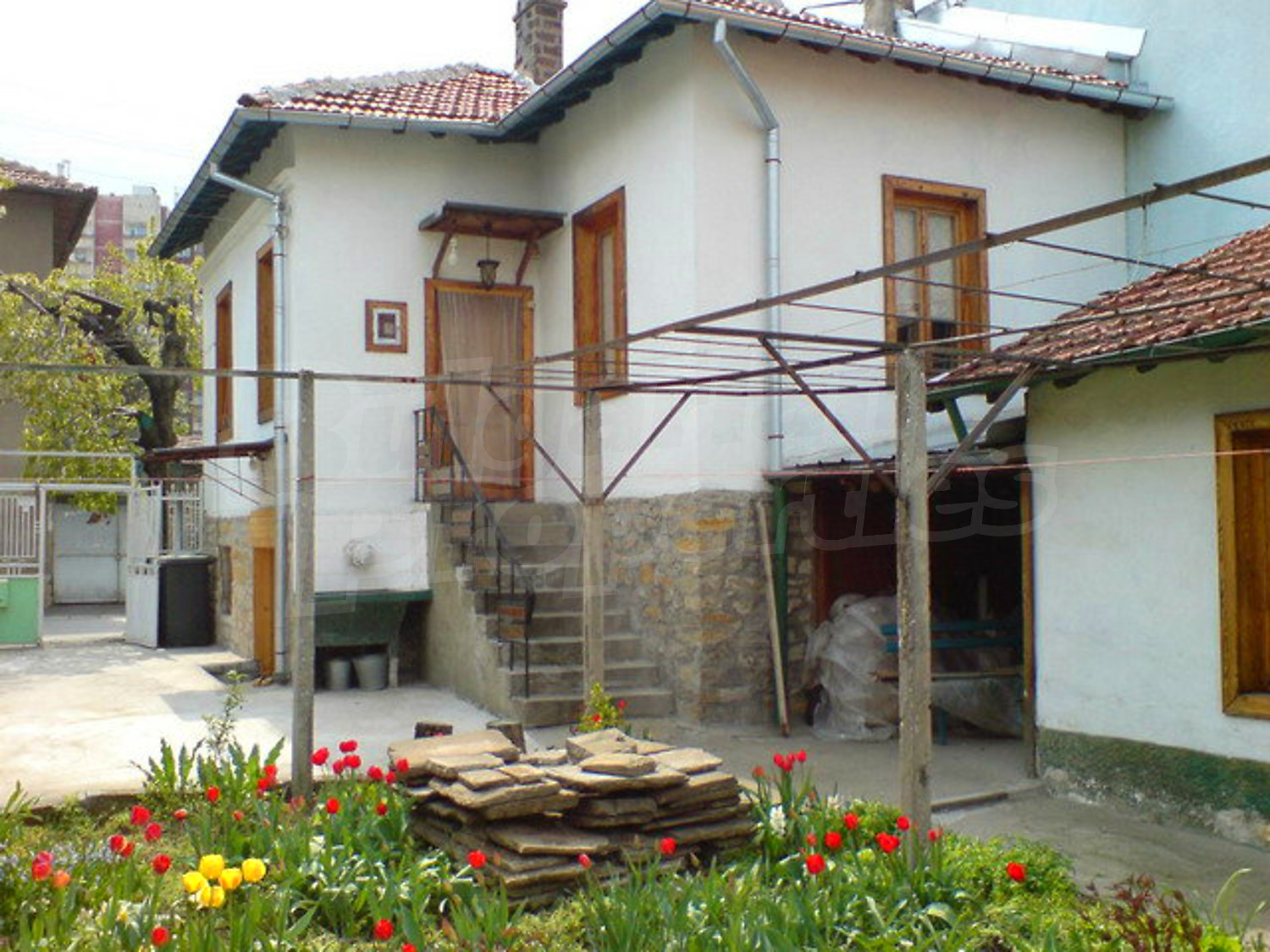 Gallery Picture 17