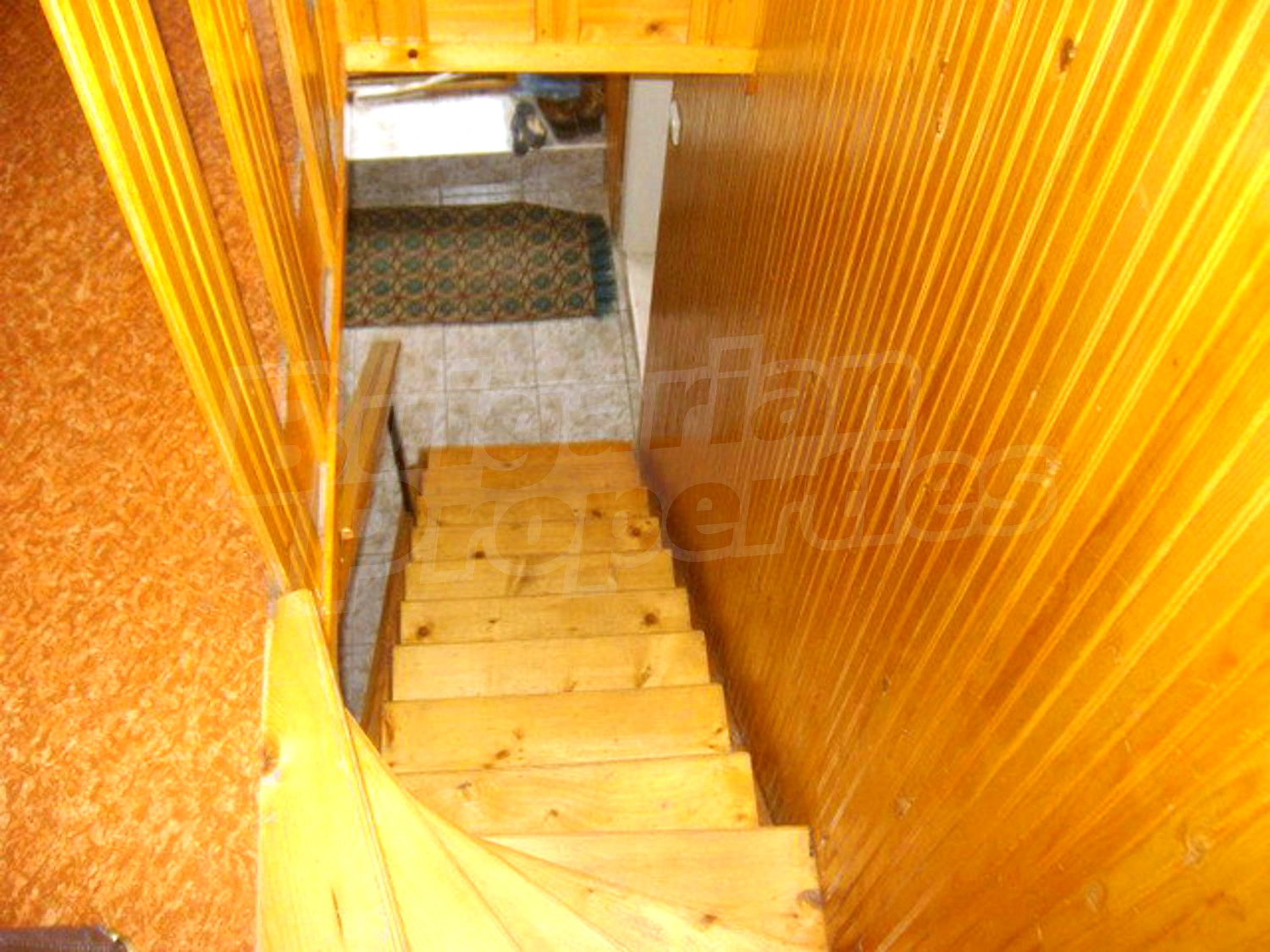 Gallery Picture 23