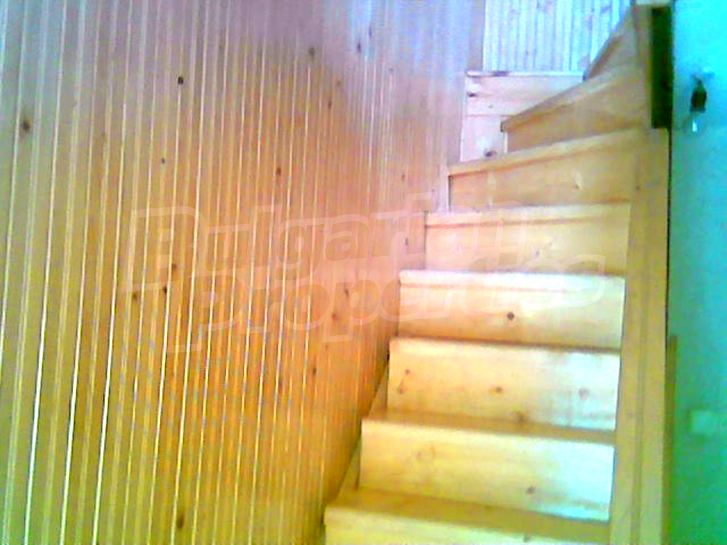 Gallery Picture 7