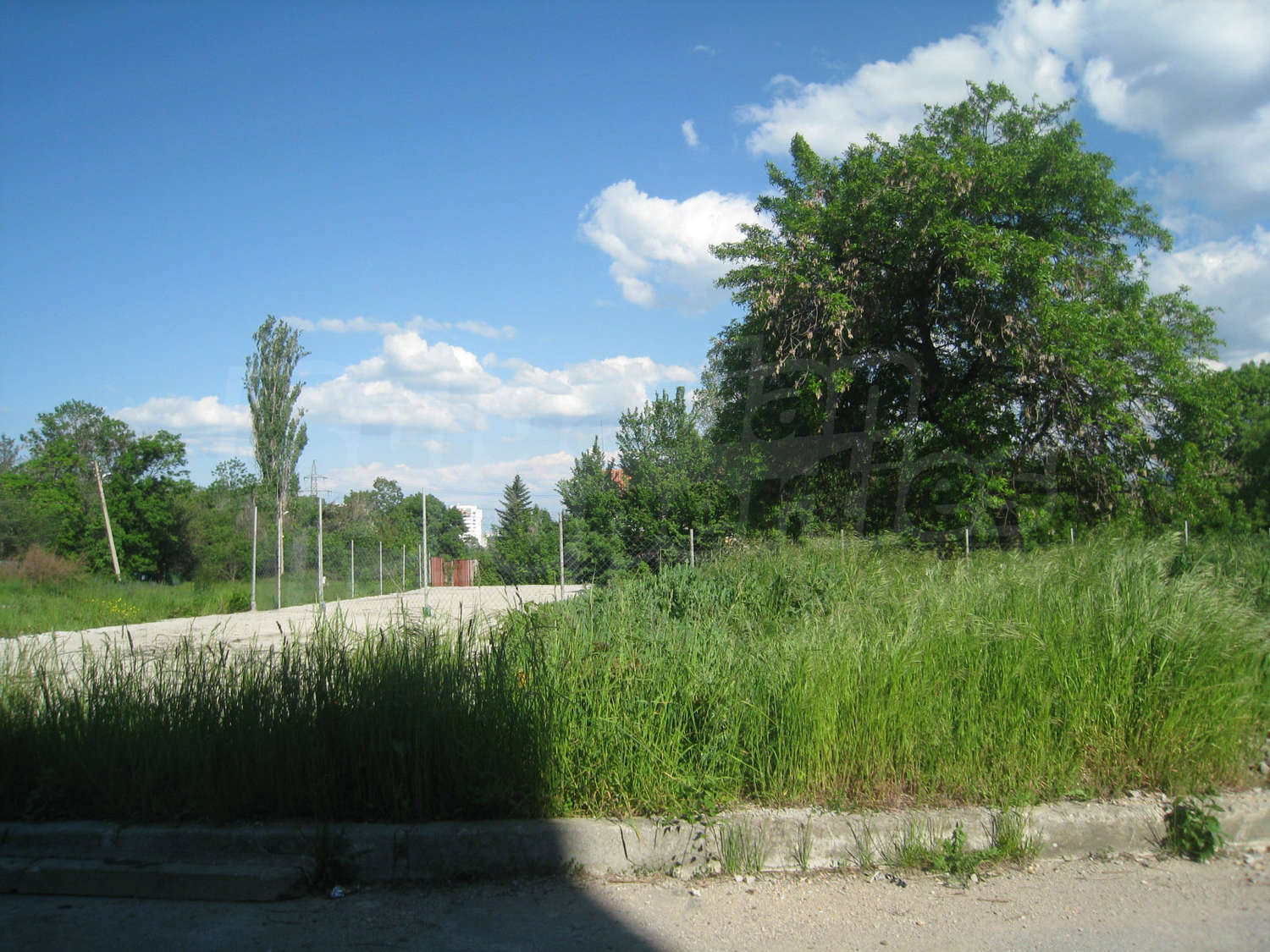 Gallery Picture 16