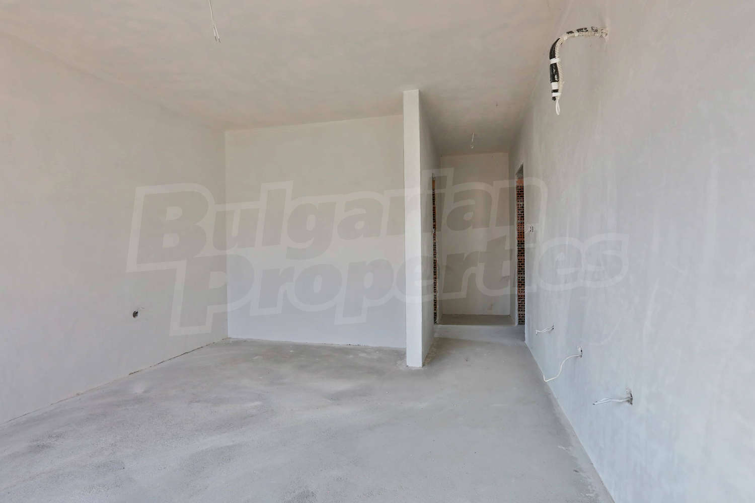 Gallery Picture 21