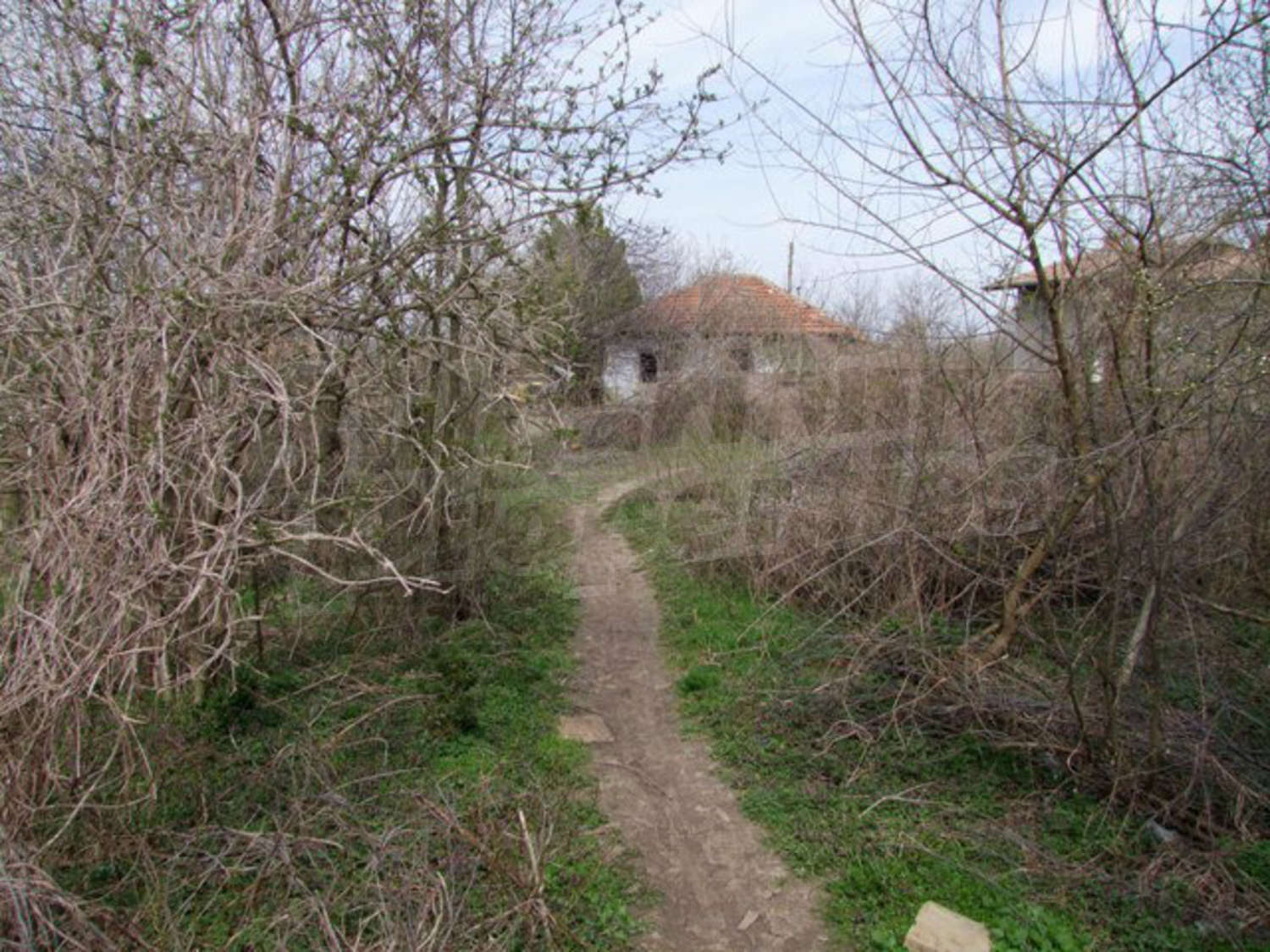 Gallery Picture 15