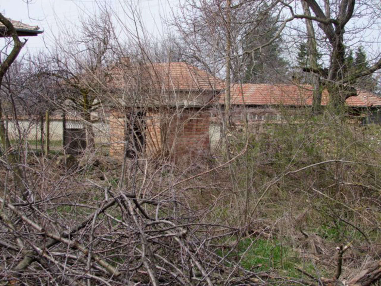 Gallery Picture 18