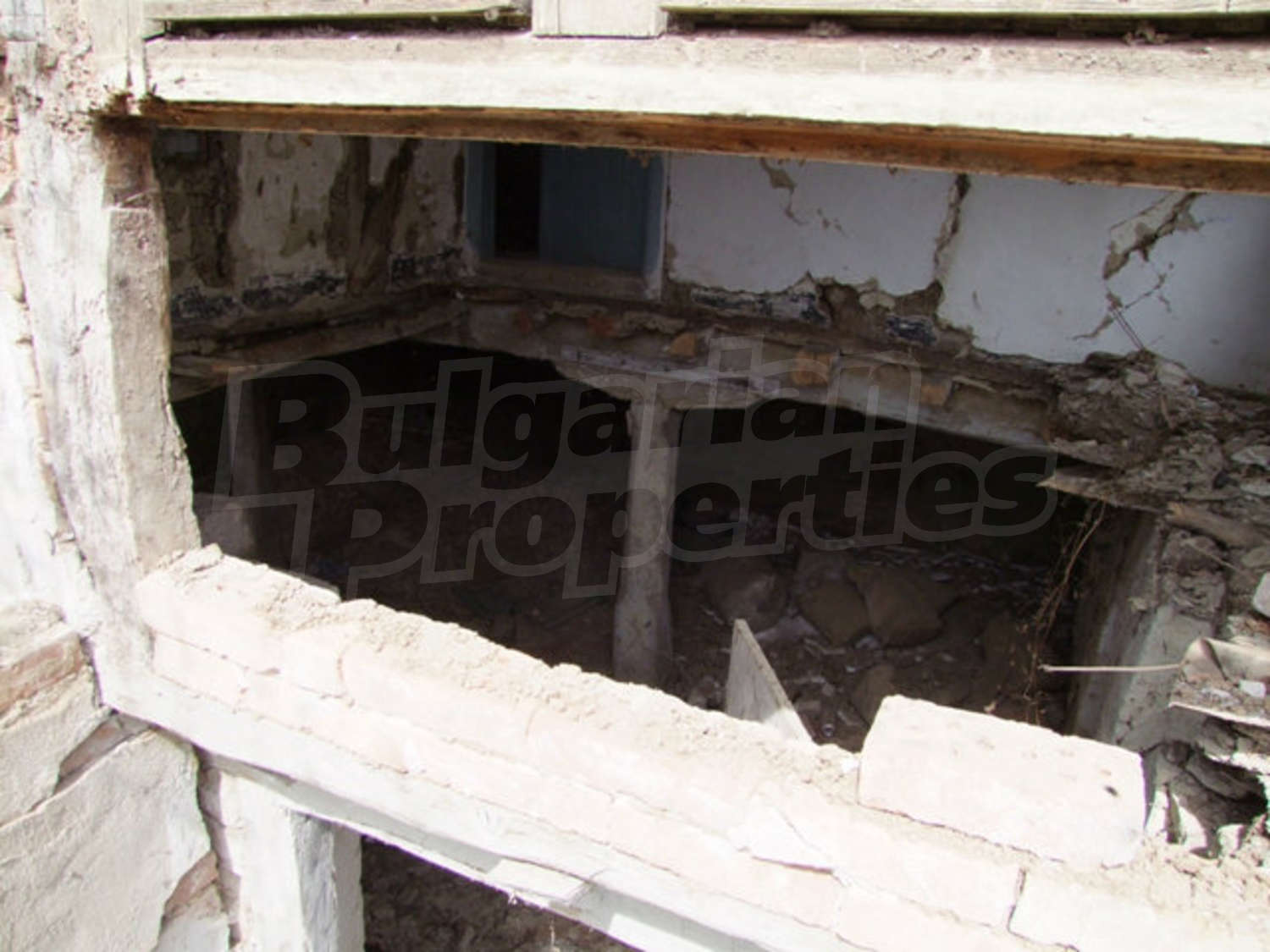 Gallery Picture 19