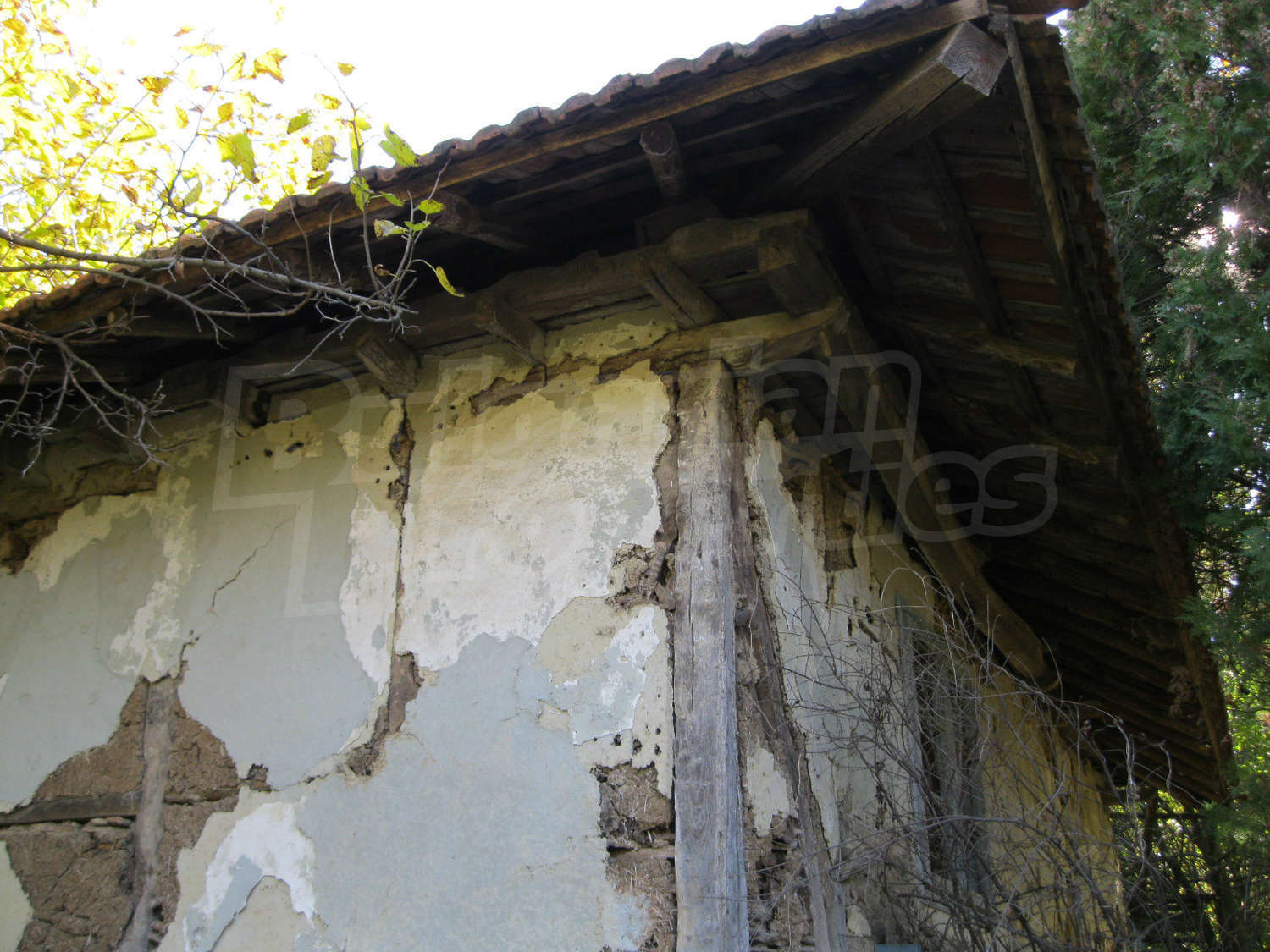 Gallery Picture 7