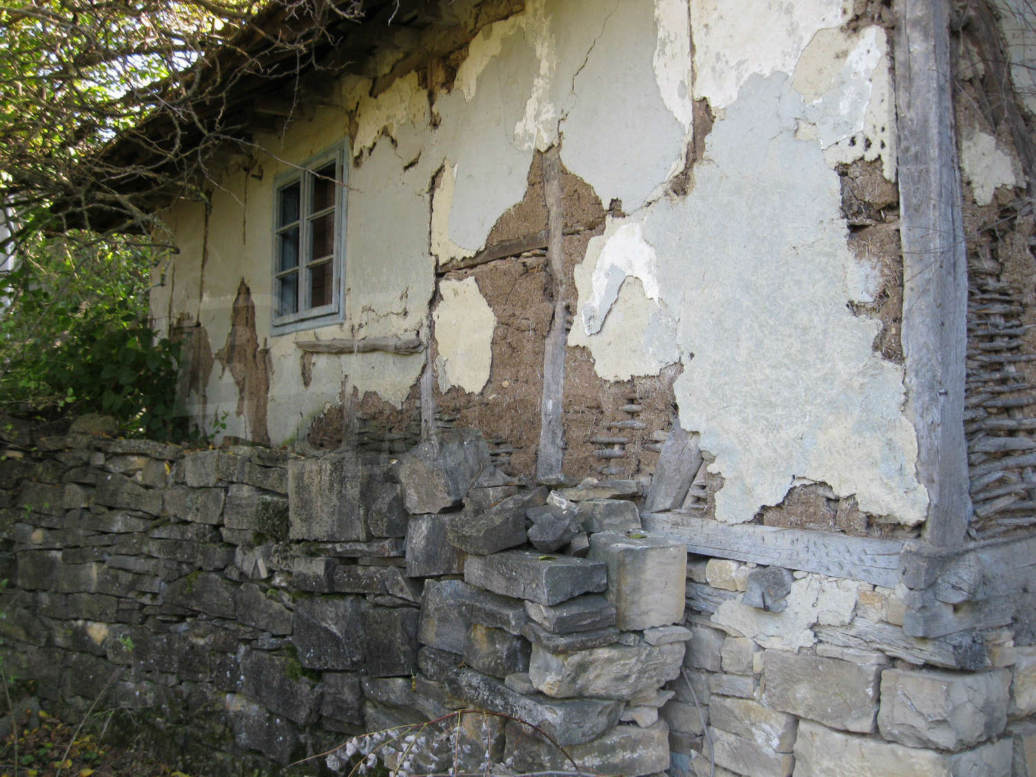 Gallery Picture 8