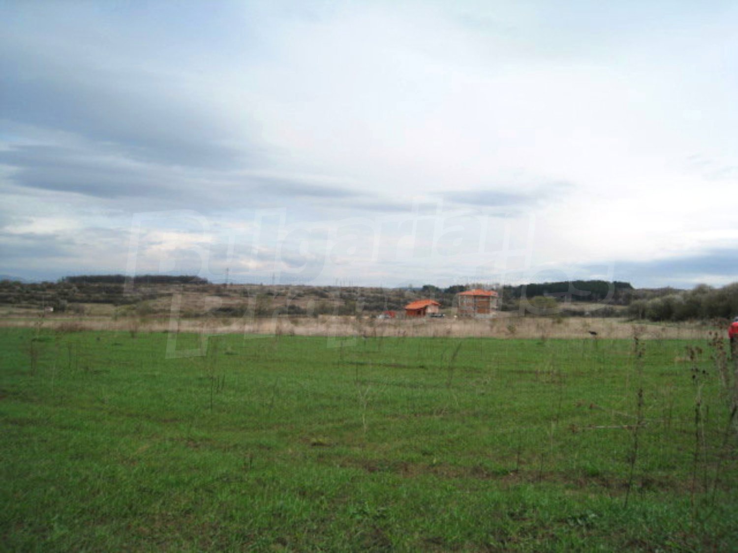 Gallery Picture 6