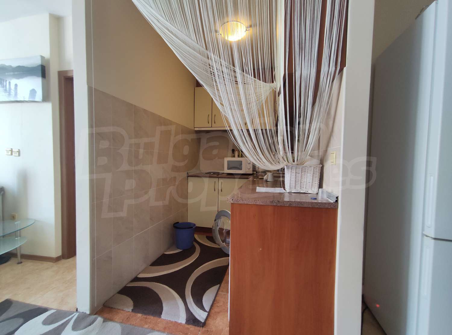 Gallery Picture 14