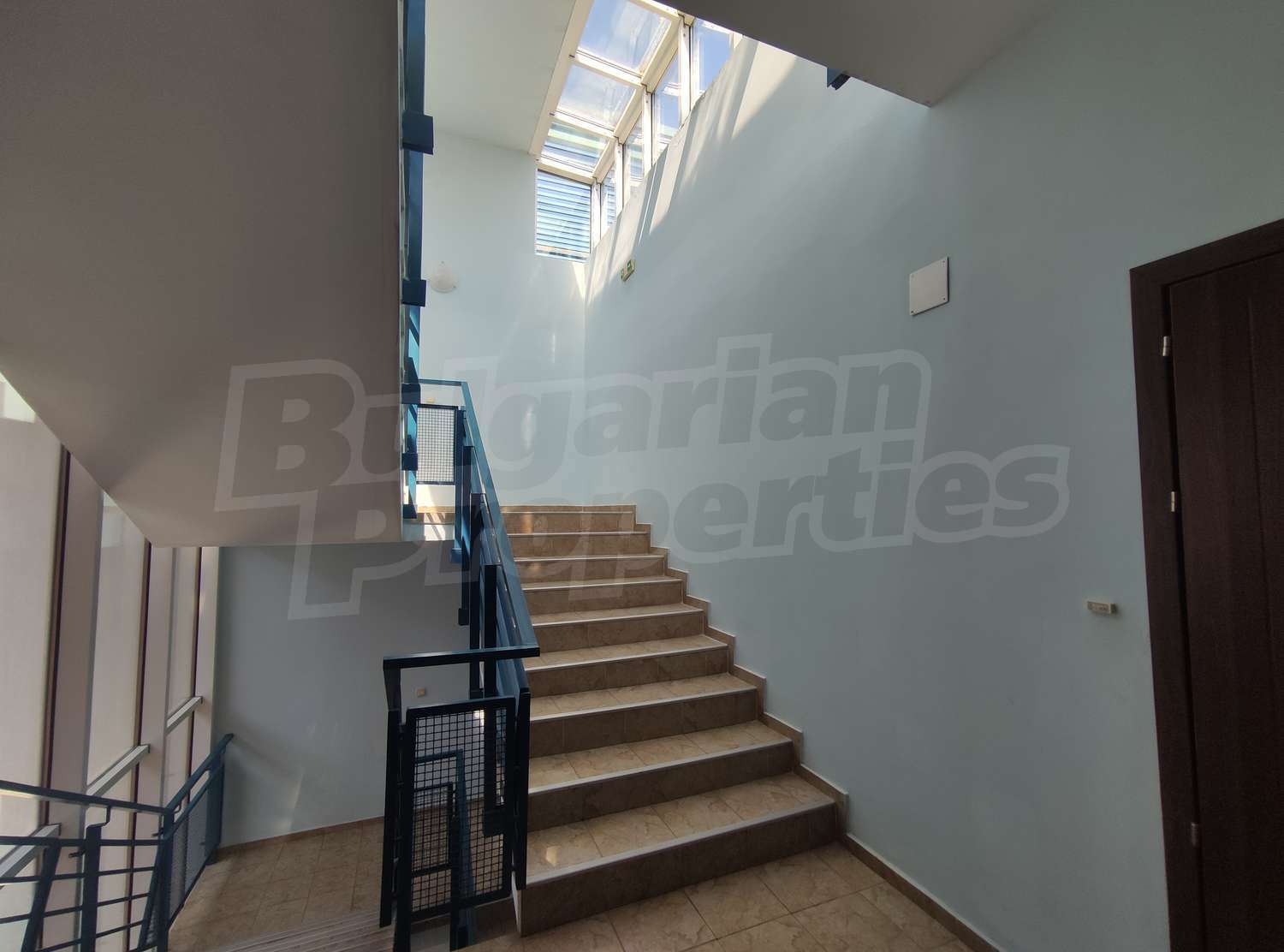 Gallery Picture 33