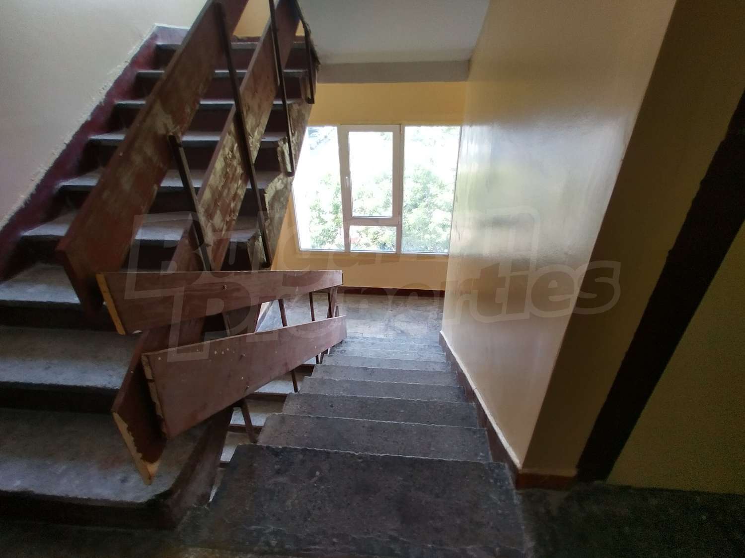 Gallery Picture 15