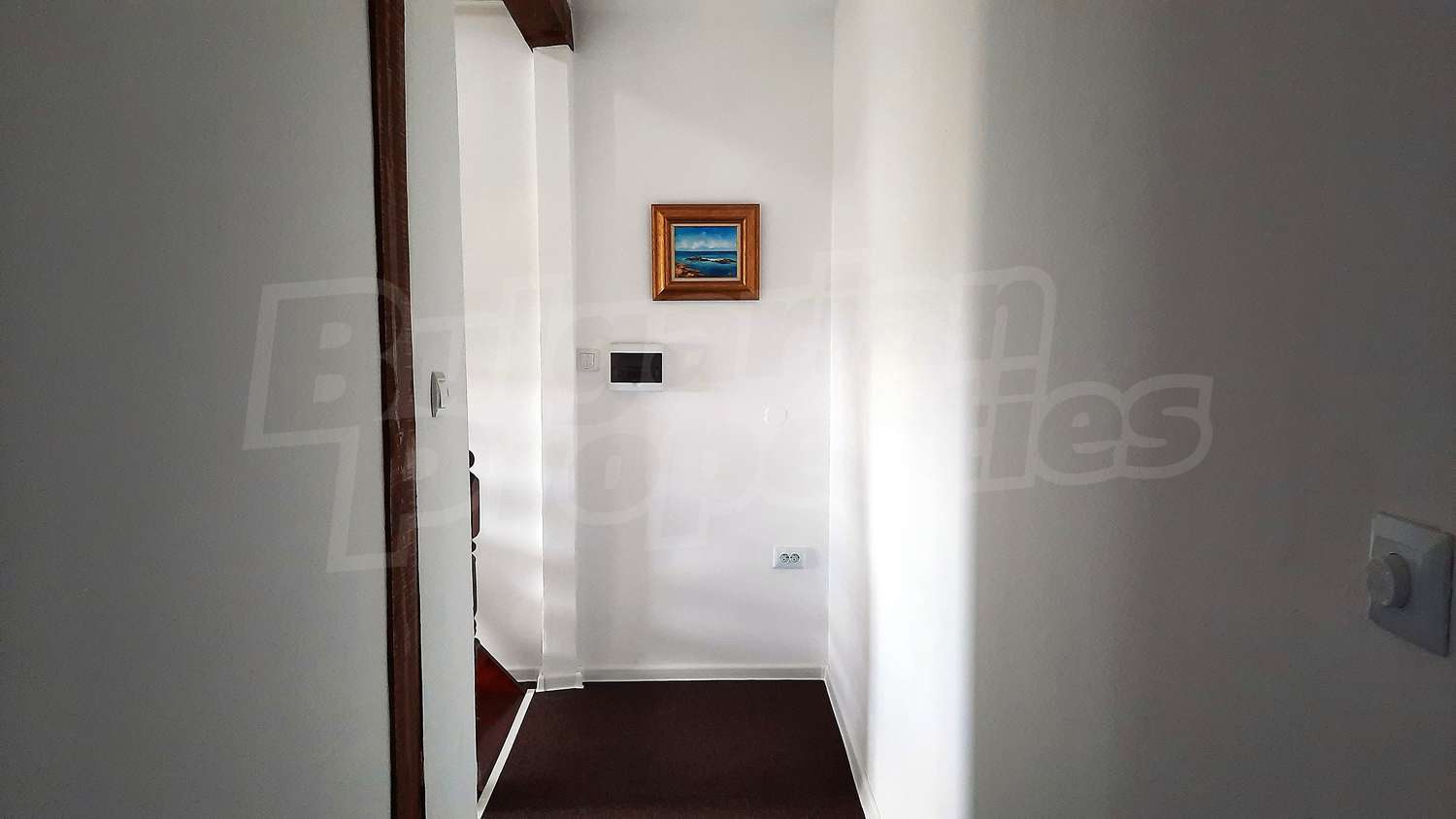 Gallery Picture 26