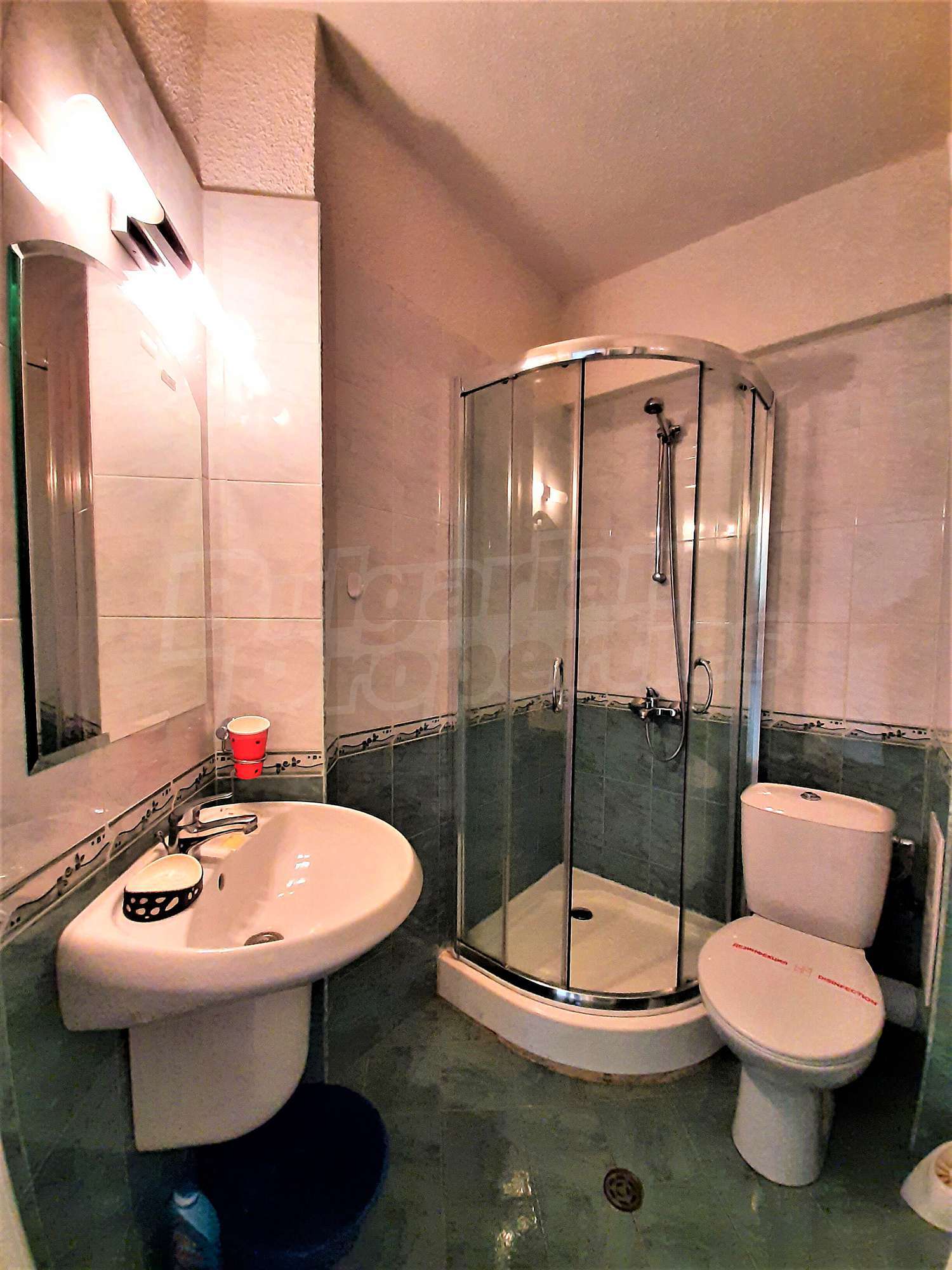 Gallery Picture 17