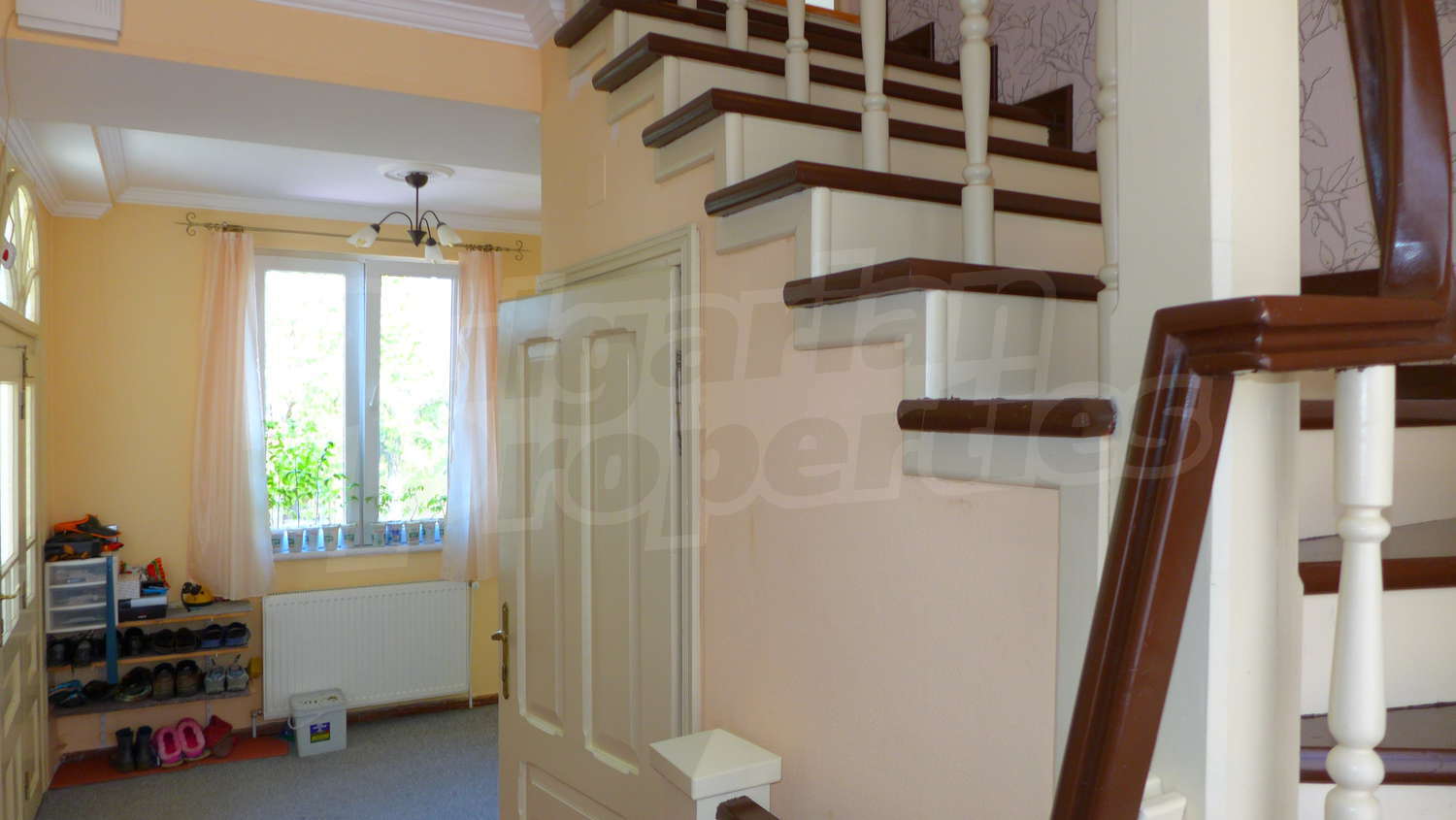 Gallery Picture 12