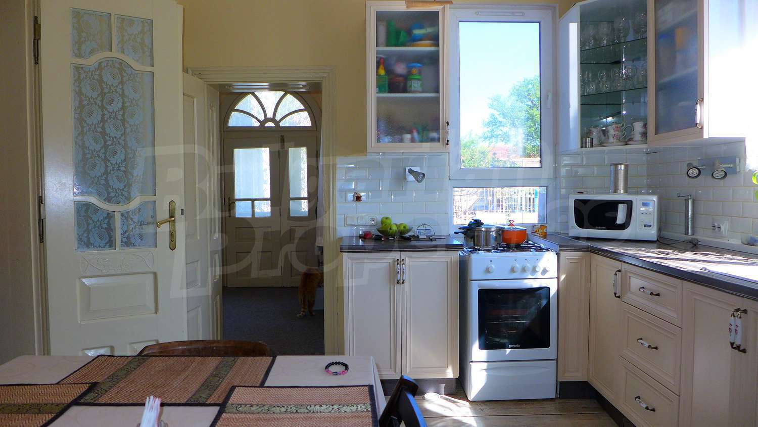 Gallery Picture 17