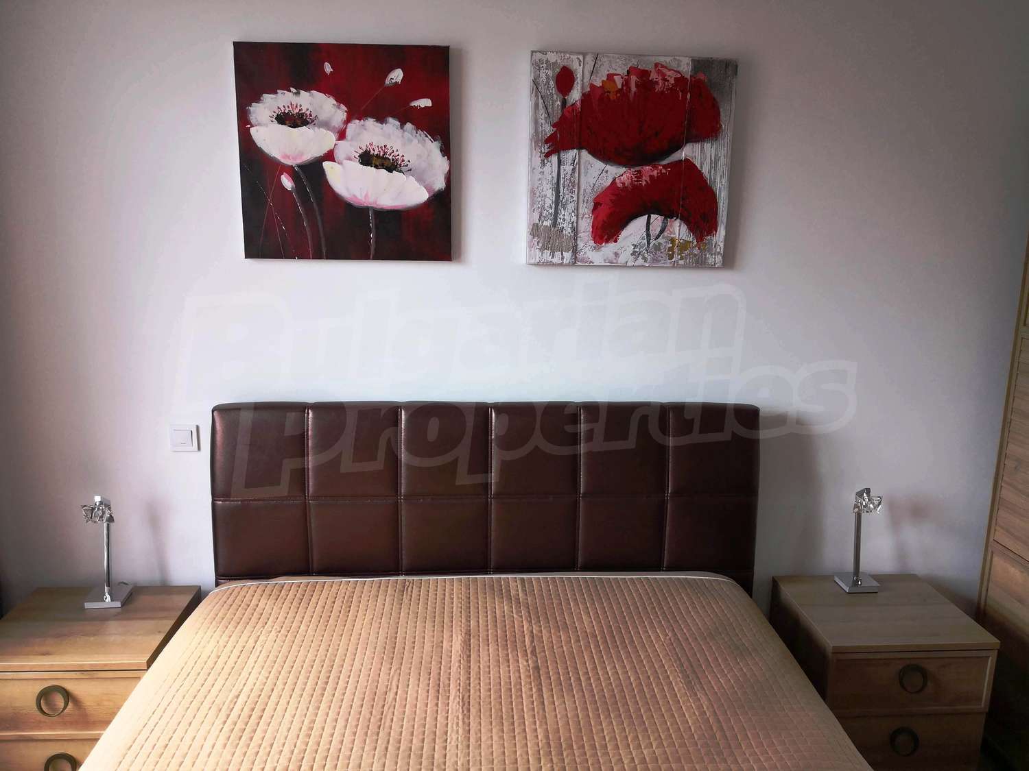 Gallery Picture 23
