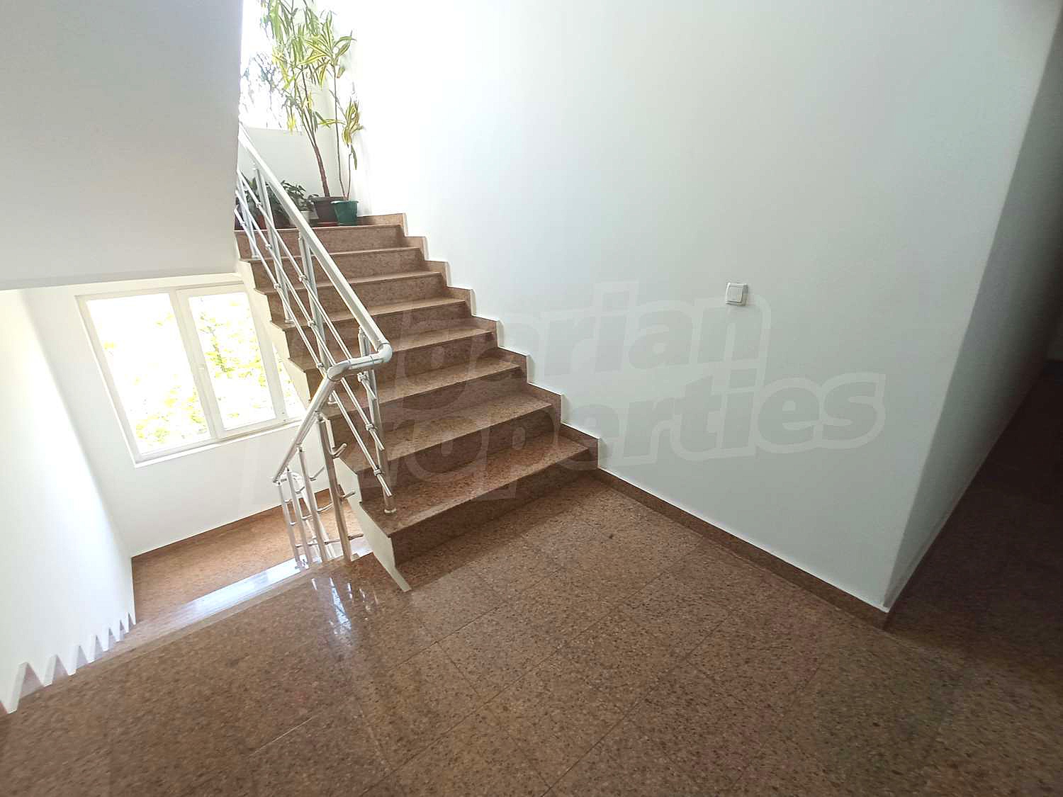 Gallery Picture 12