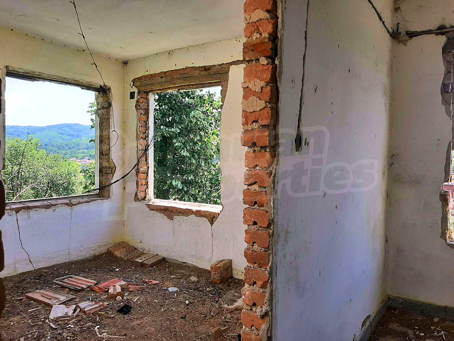 Gallery Picture 10