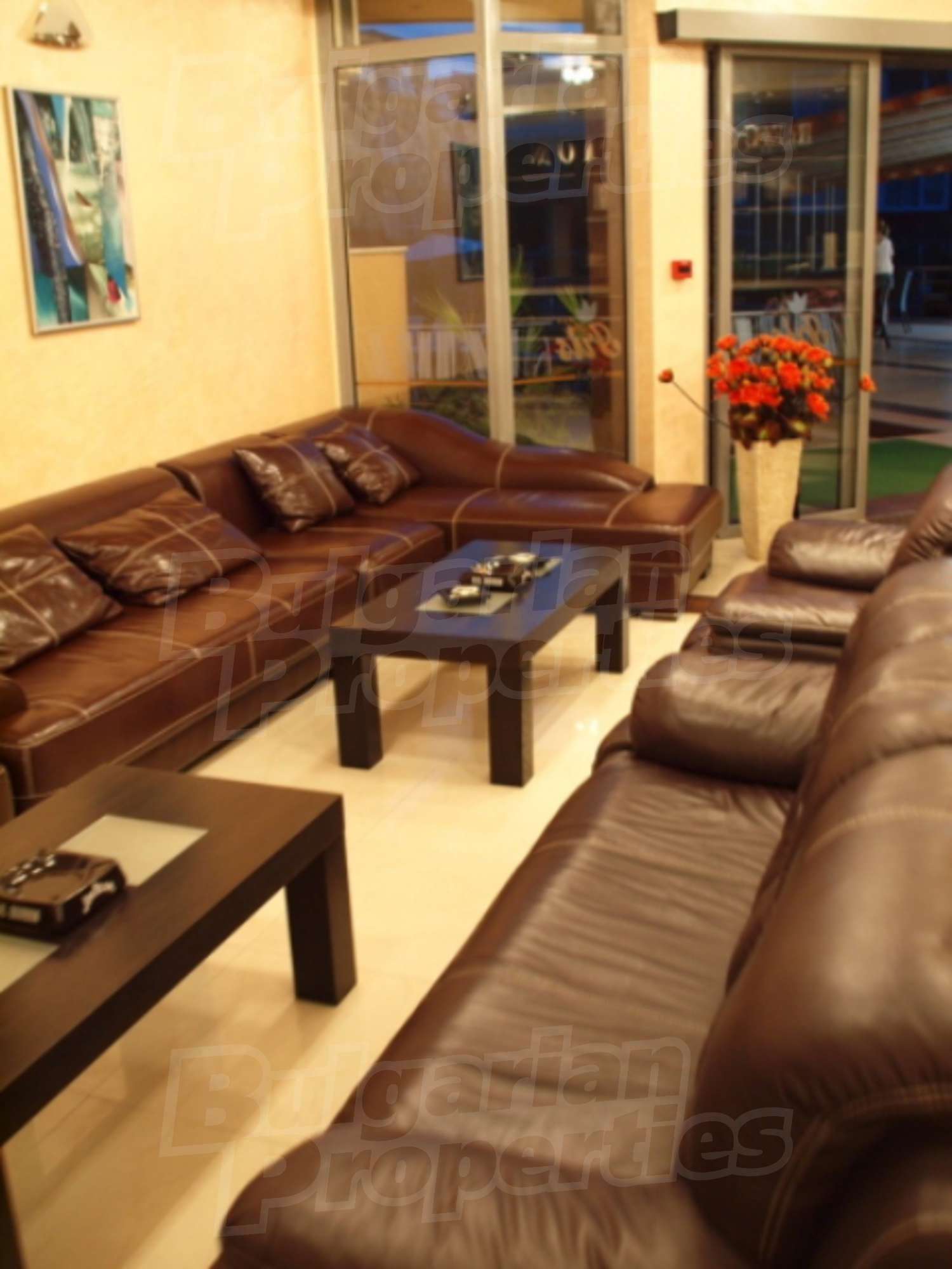 Gallery Picture 25