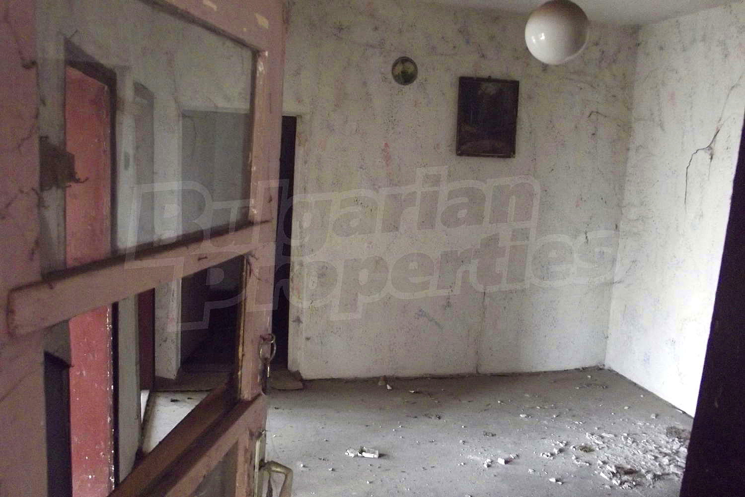 Gallery Picture 10