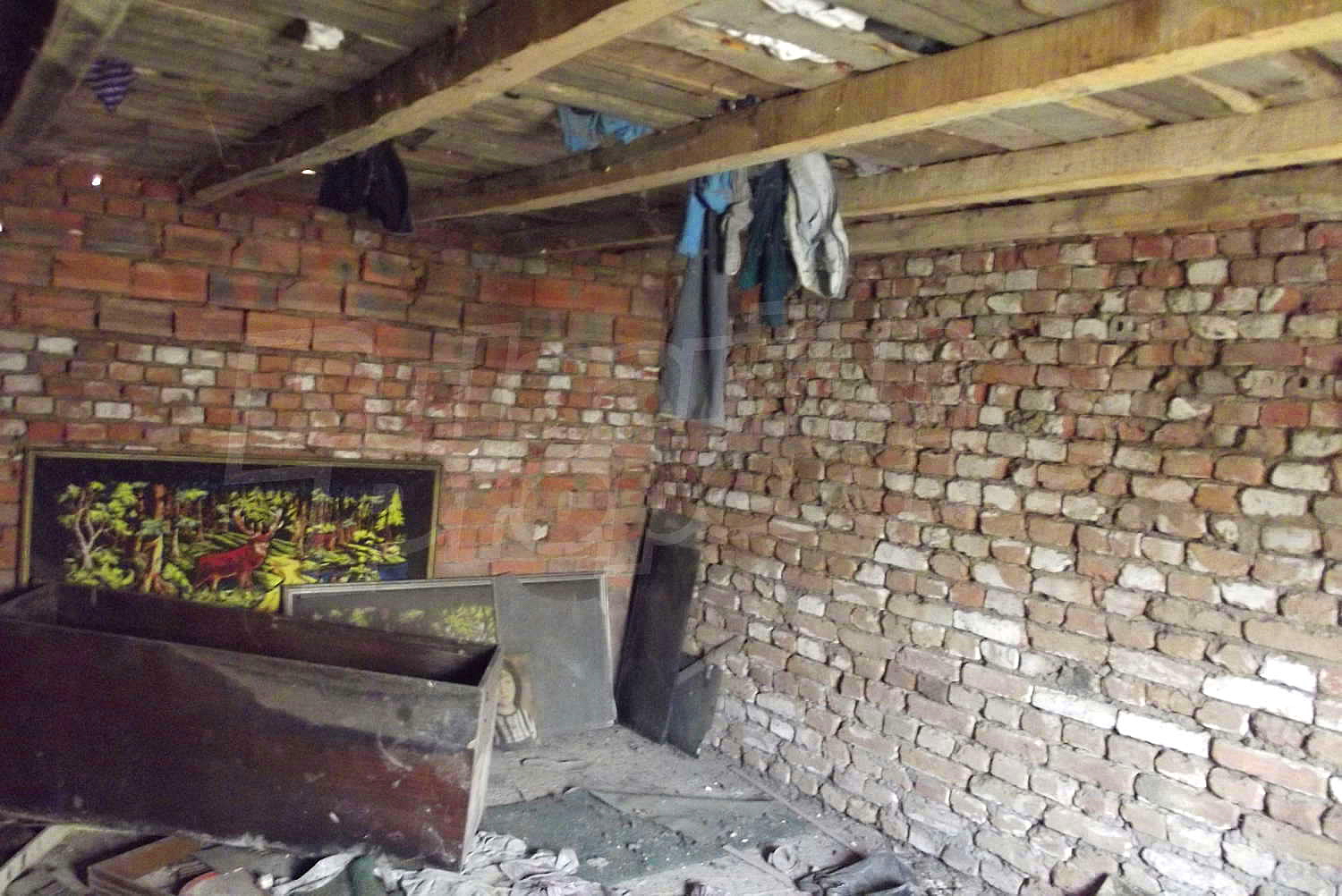 Gallery Picture 17