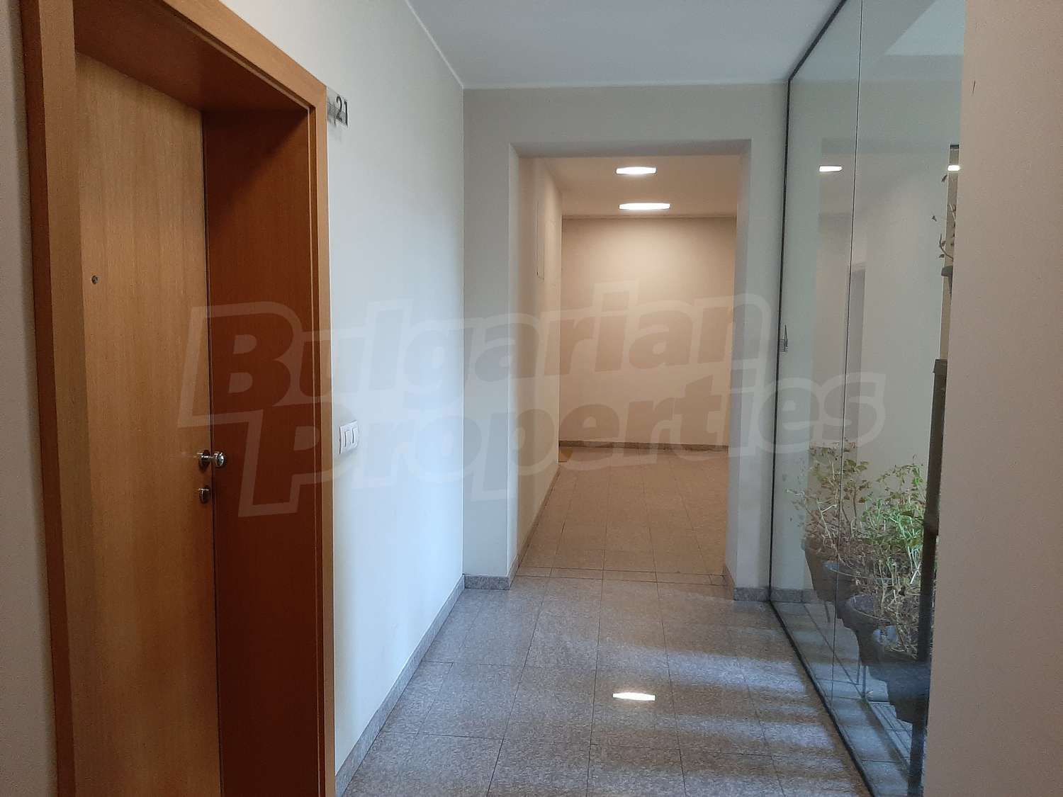 Gallery Picture 18