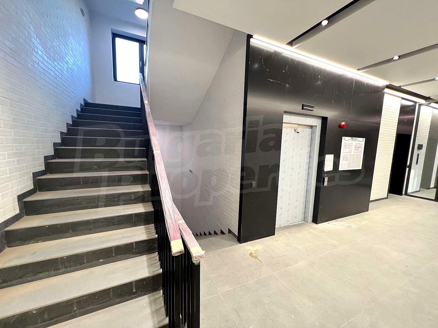 Gallery Picture 14