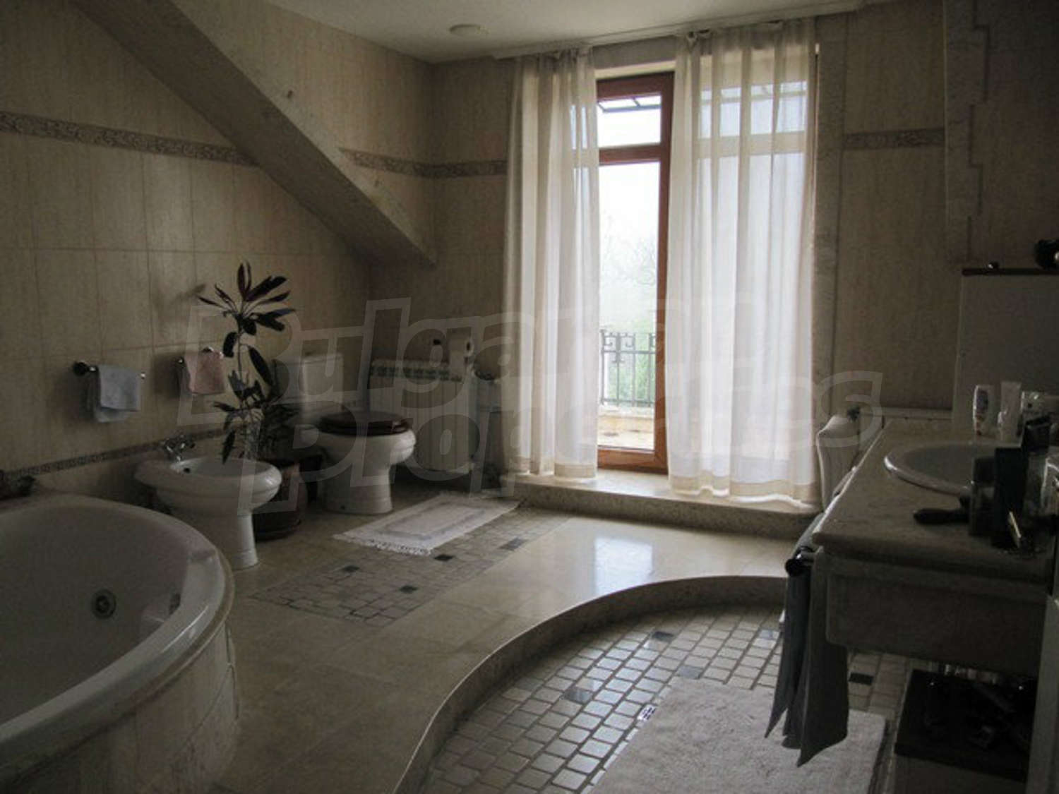 Gallery Picture 14