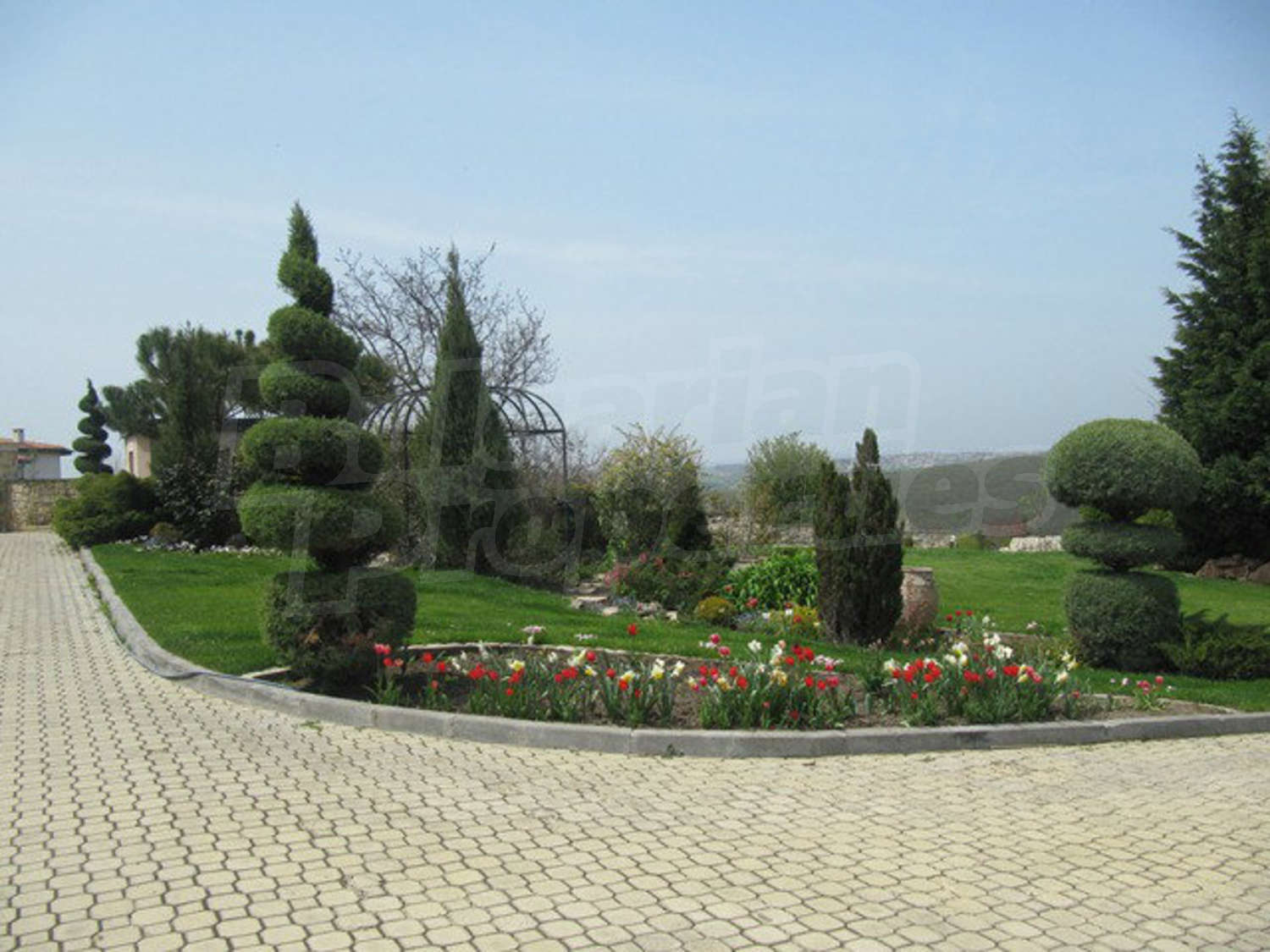 Gallery Picture 6